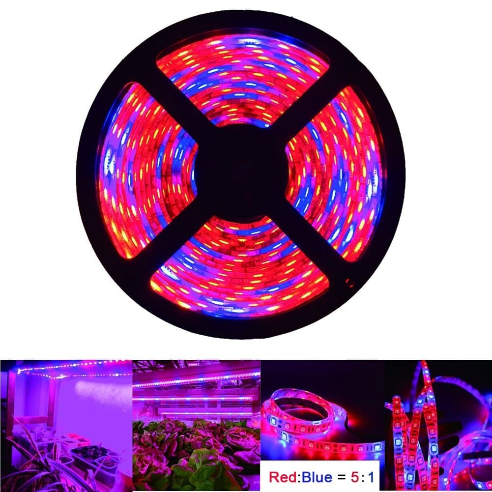 OUEVA LED Plant Grow Strip Light Kit Waterproof SMD 5050 Red Blue Lighting 5:1 Lighting Ribbon For Plants Growth