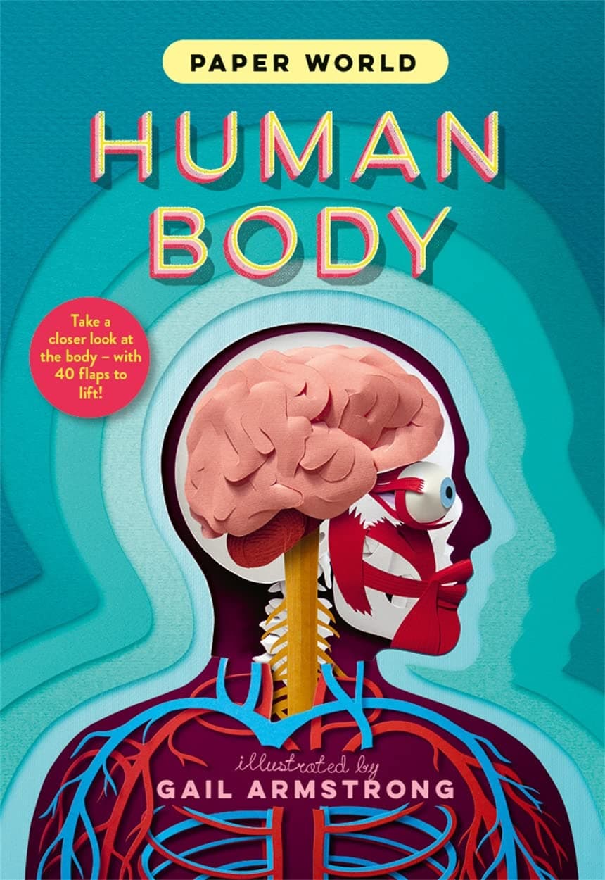 Templar Publishing Paper World: Human Body