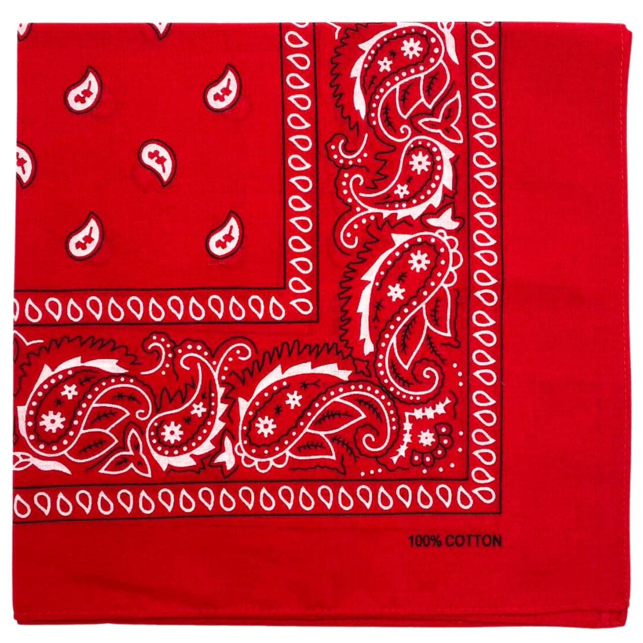 100% Cotton Bandana for Men & Women 22" x 22" Paisley Pattern Handkerchief Headband Scarf
