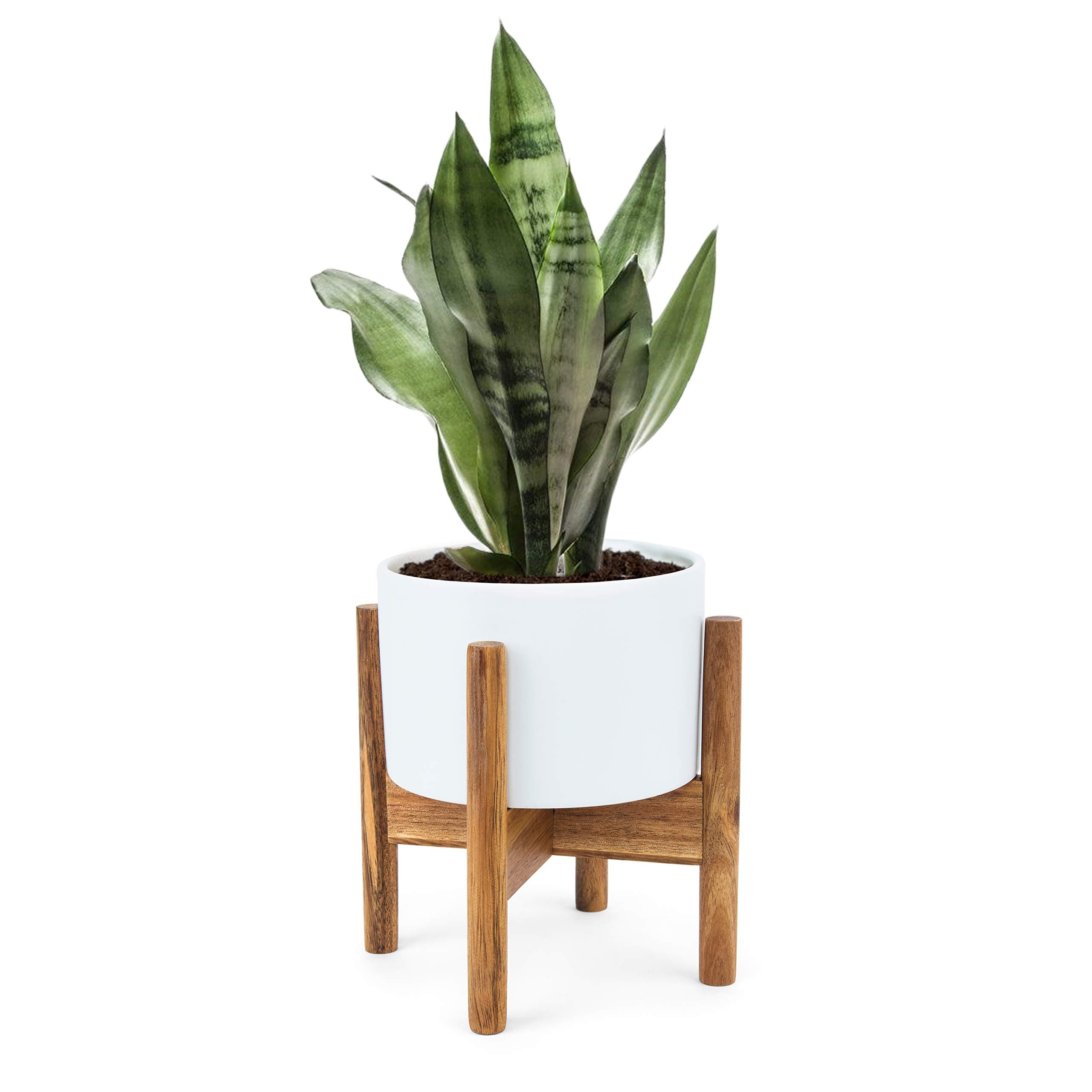 Small Indoor Tabletop Planter. 5 Inch Mid-Century Succulent Ceramic Plant Pot with Wood Stand and Drainage Hole by Fyra Ben. Modern Desktop Holder for Cactus Flower Candle (Included Planter and Stand)