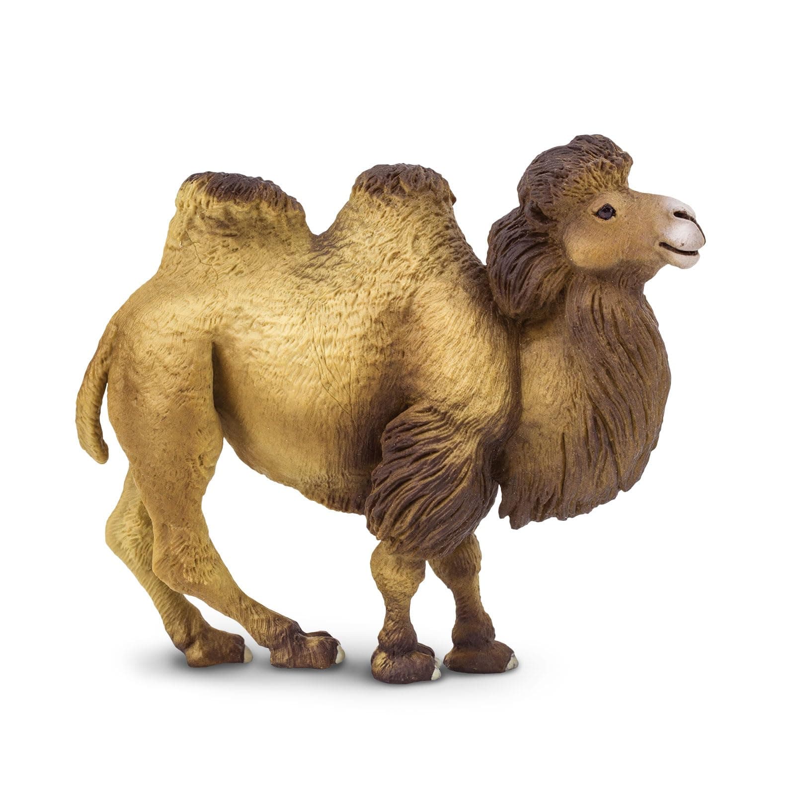 Safari Ltd. Bactrian Camel