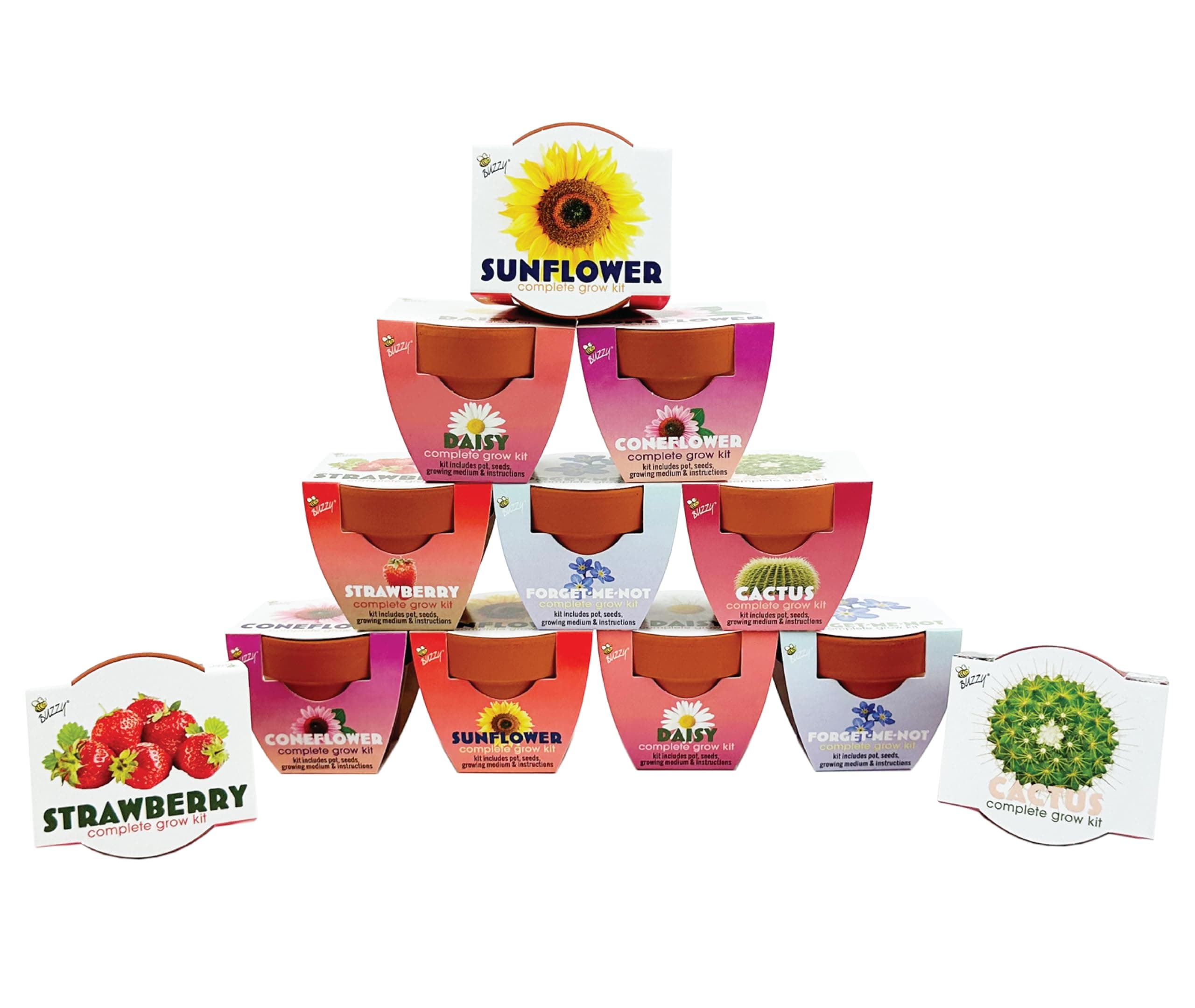 BUZZY Seeds Terracotta Mini Grow Pots 12-Pack – All-in-One Flower Kits with Growing Medium, Sunflower, Daisy, Coneflower, Strawberry, Forget-Me-Not, and Cactus Seeds, DIY Plant Starter Collection