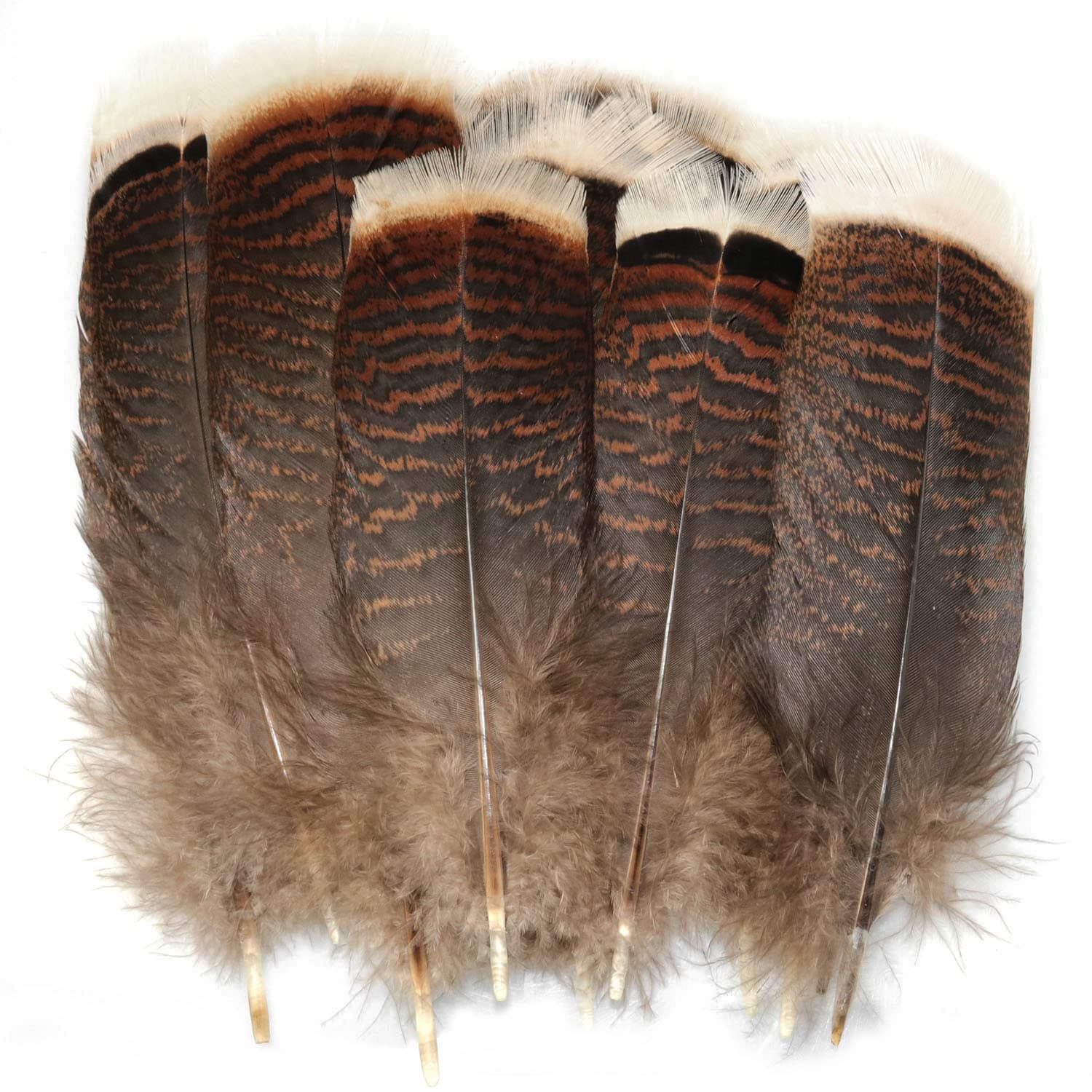 LUORNG Natural Turkey Feather 20PCS 15-20cm/5.9-7.87inch Precious Turkey Tail Feathers for DIY Costume Headress