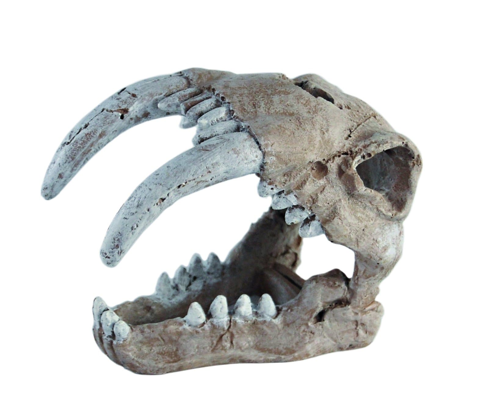 Haquoss Tiger Skull Ornament for Aquarium Decor, 13 cm Length x 7 cm Width x 10 cm Height