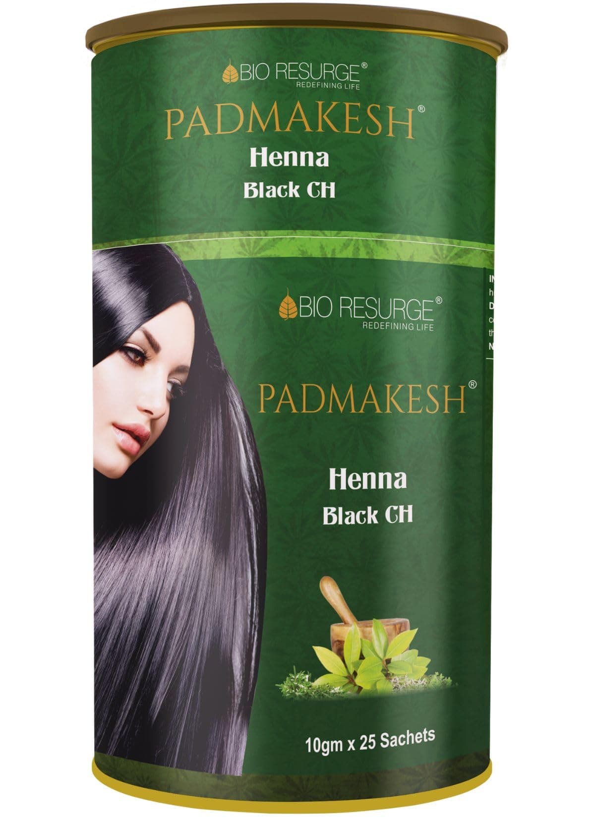 BIO RESURGE LIFE Ayurvedic Henna Natural Hair Colours (Black)