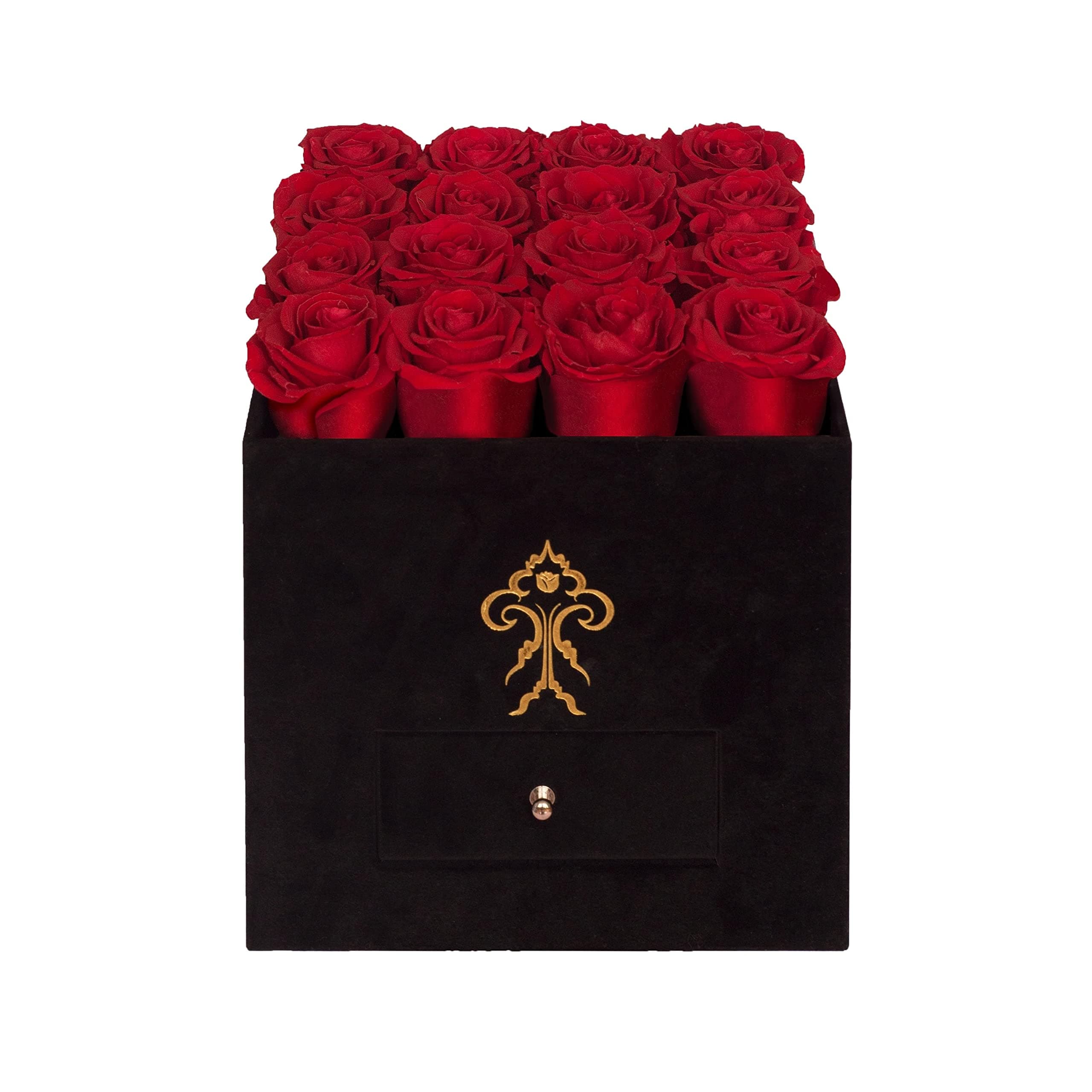 Model Posh: Medium Black Box