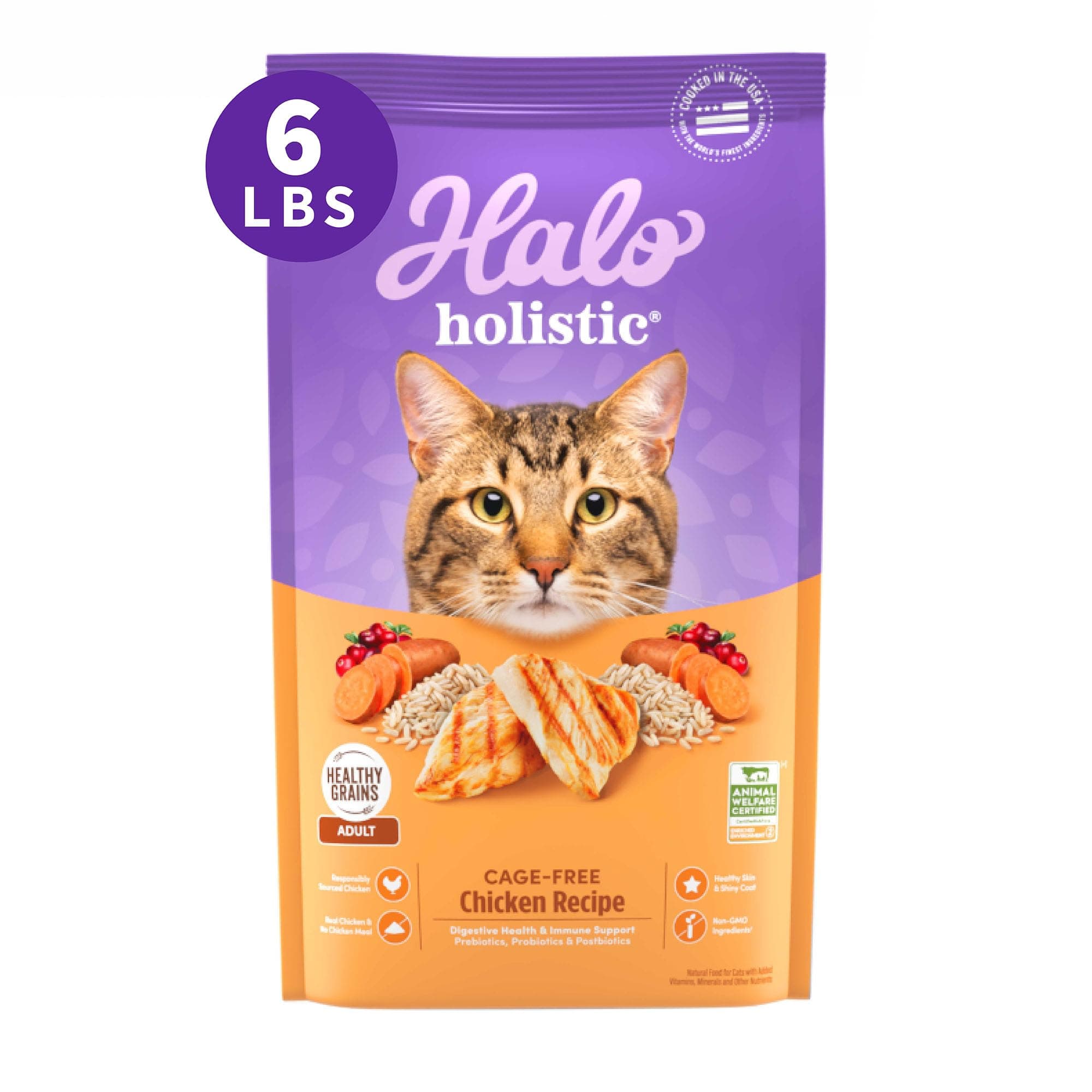 Holistic Cage Free Chicken Cat Food, Healthy Grains Dry Cat Food, Complete Digestive Health, Kibble for Adult Cats, 6 lb Bag