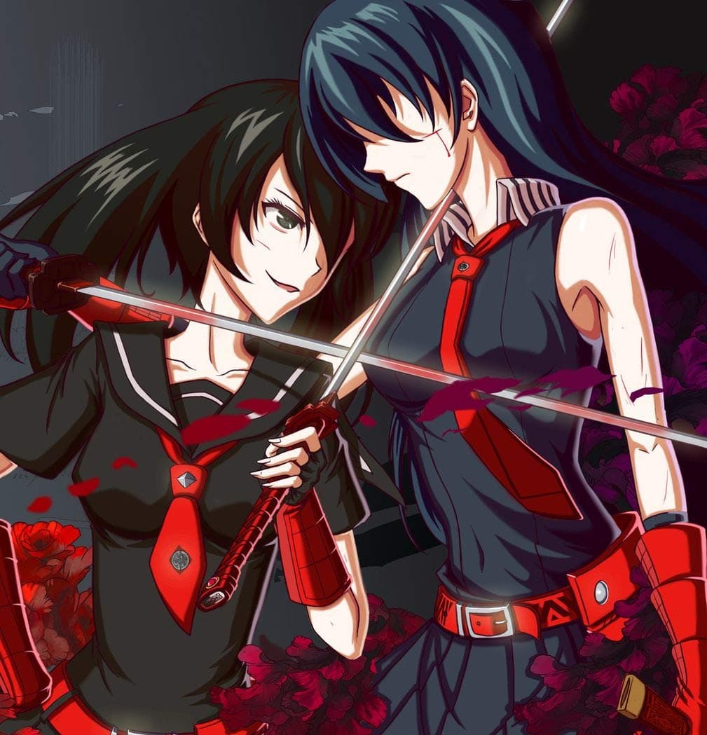 TianSW Akame ga Kill! Gekijou (24inch x 25inch/60cm x 62cm) Waterproof Poster No Fading