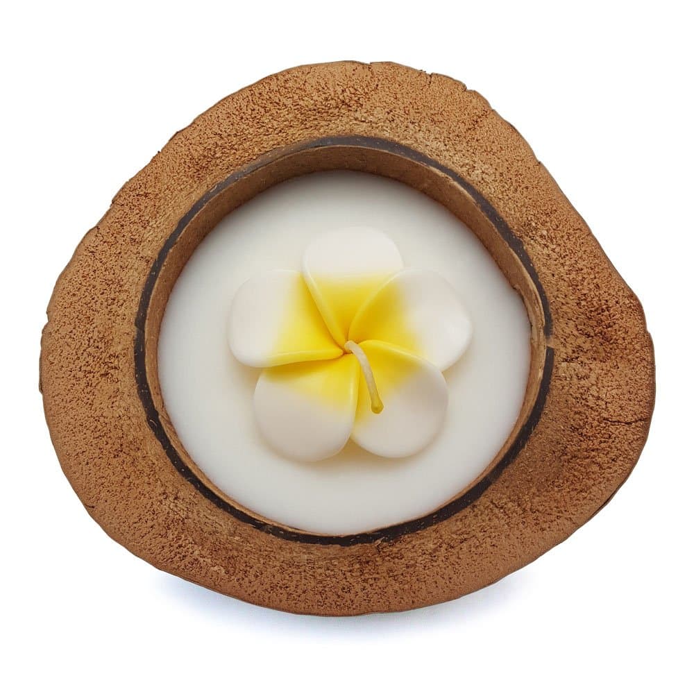 Vanda Siam Frangipani Flower Candle in Half Coconut Shell Frangipani White-Yellow