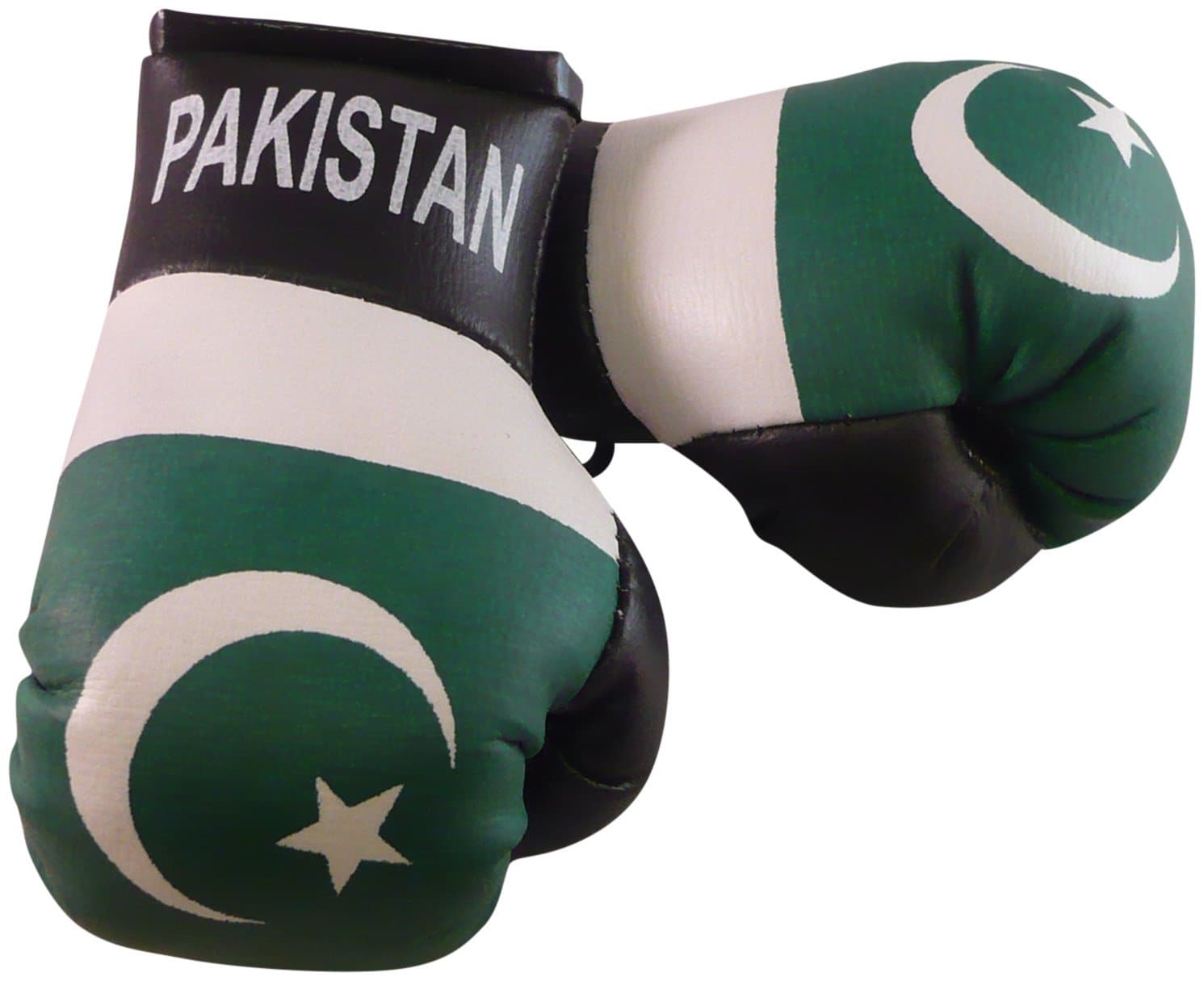 CRAZY LIZARD PAKISTAN MINI BOXING GLOVES