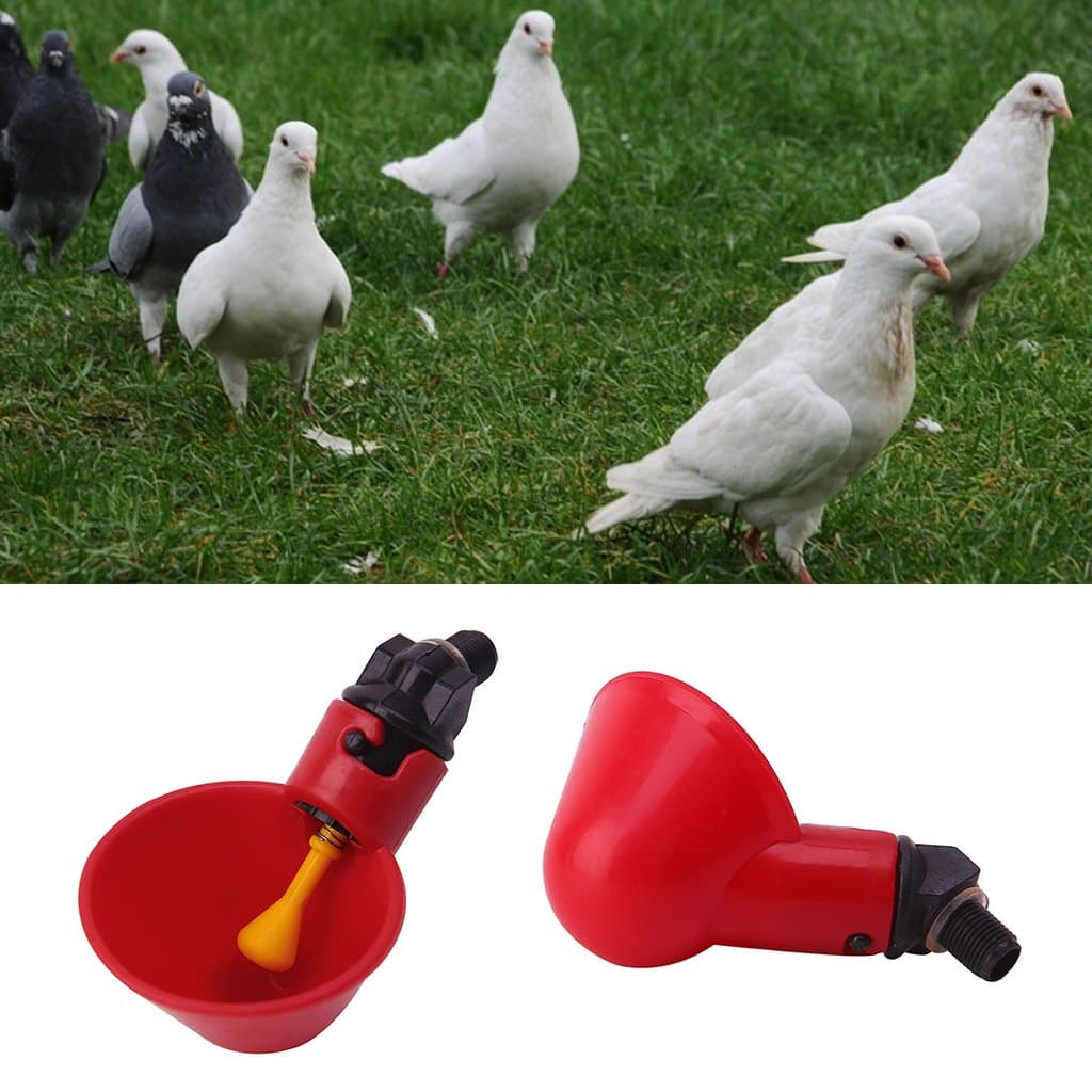 Gubenm Bird Bath, Poultry Water Drinking Cups Plastic Poultry Chicken Chicken Feeder Automatic Drinker