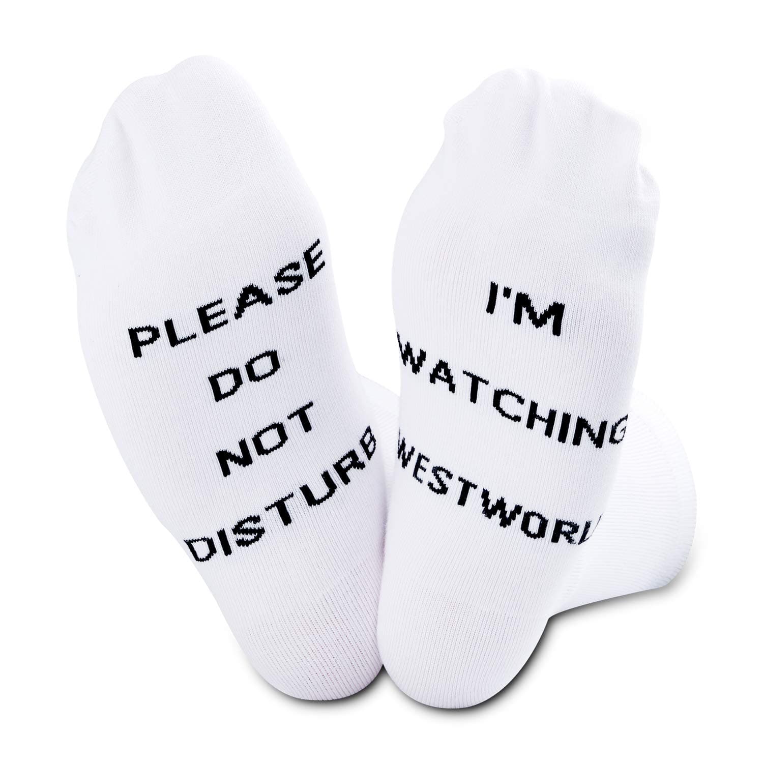 TSOTMO 2 Pairs Westworld Inspired Gift Funny Birthday Gift for Westworld Fans Please Do Not Disturb I’m Watching Westworld