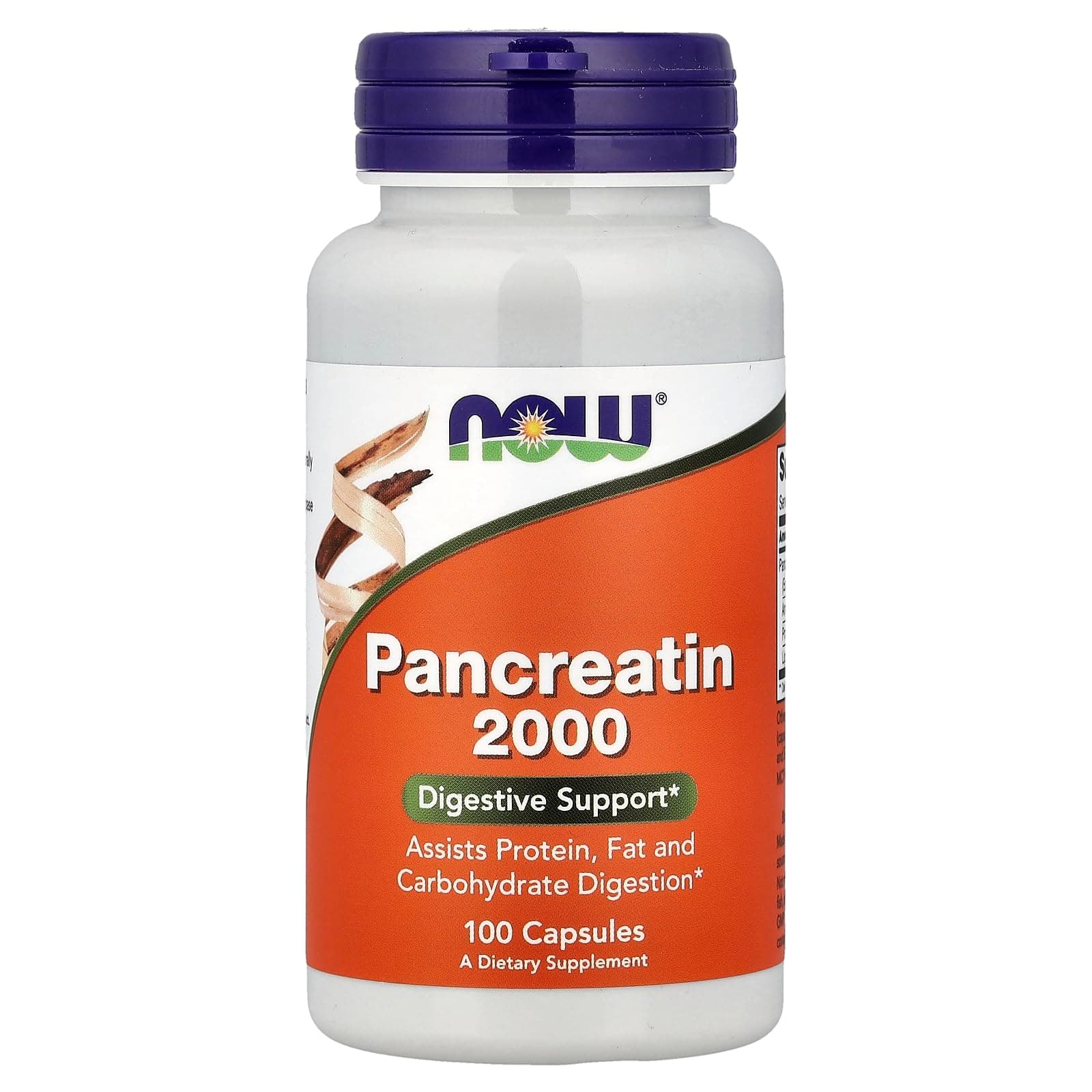 Pancreatin 10X -- 200 mg - 100 Capsules