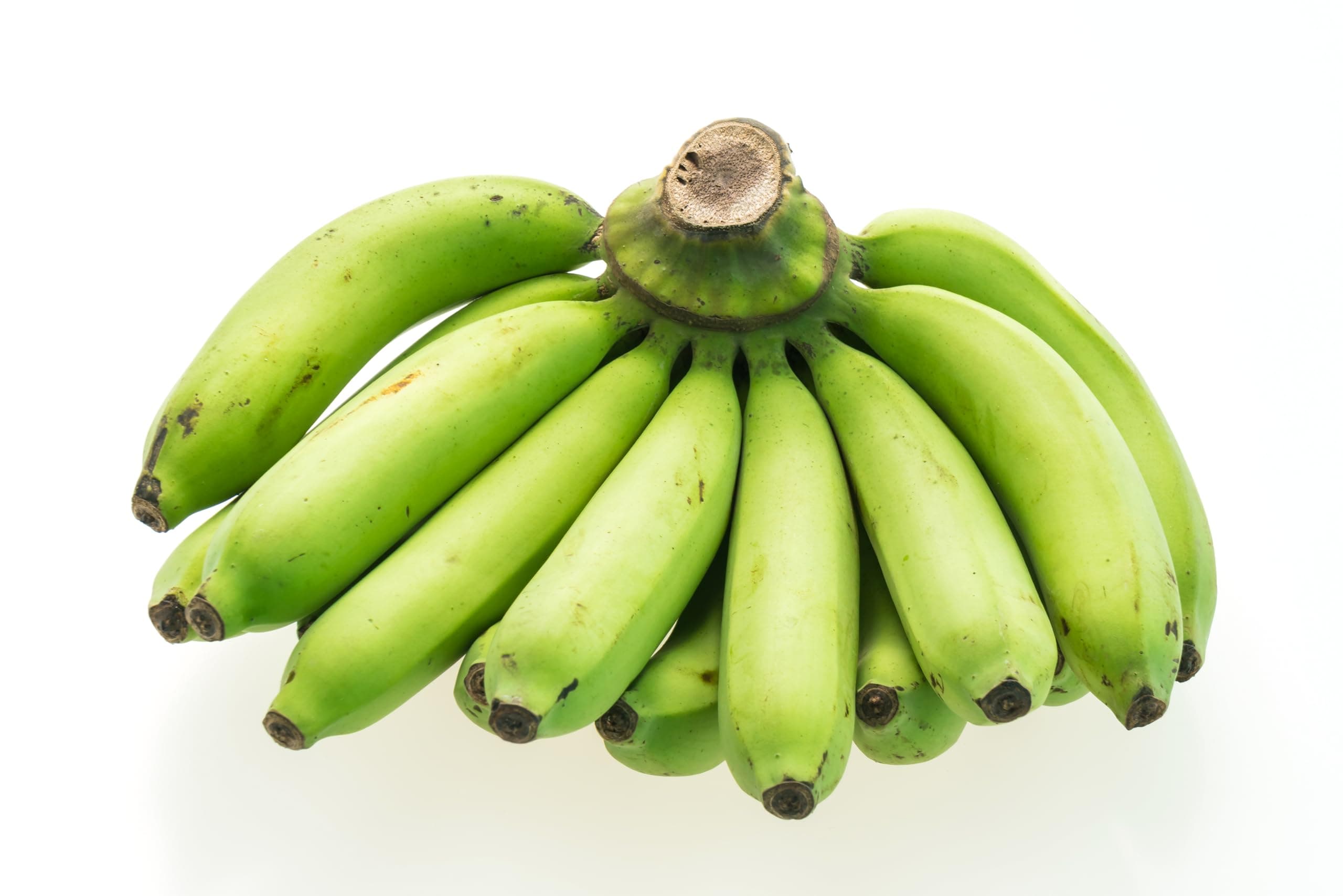 Fresh Organic Green Plantain Bananas by RawJoy Farms, 1 Pound