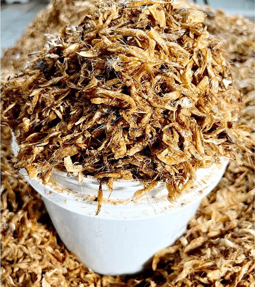 Homemade Sundried Radish Sinki Naturally Fermented Super Sour Nepali Sinki - Nepali Mula Ko Sinki, Natural Typical Nepali Fermented Radish Slices Dry Sinki To Make Curry Soup - 200grm