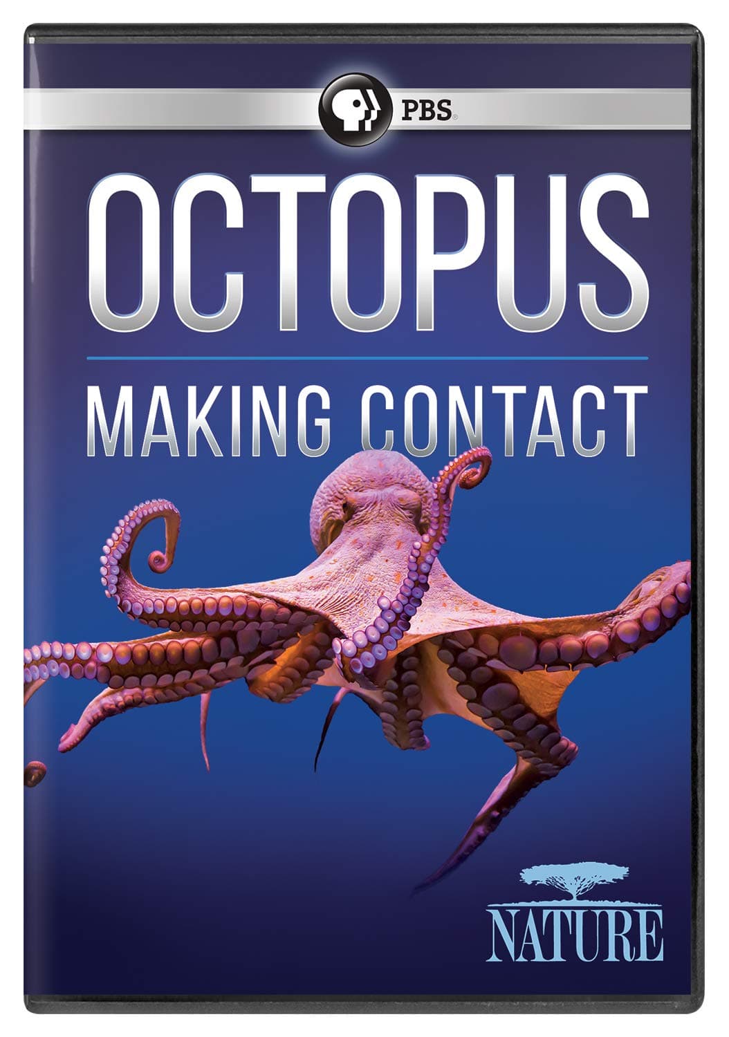 NATURE: Octopus: Making Contact
