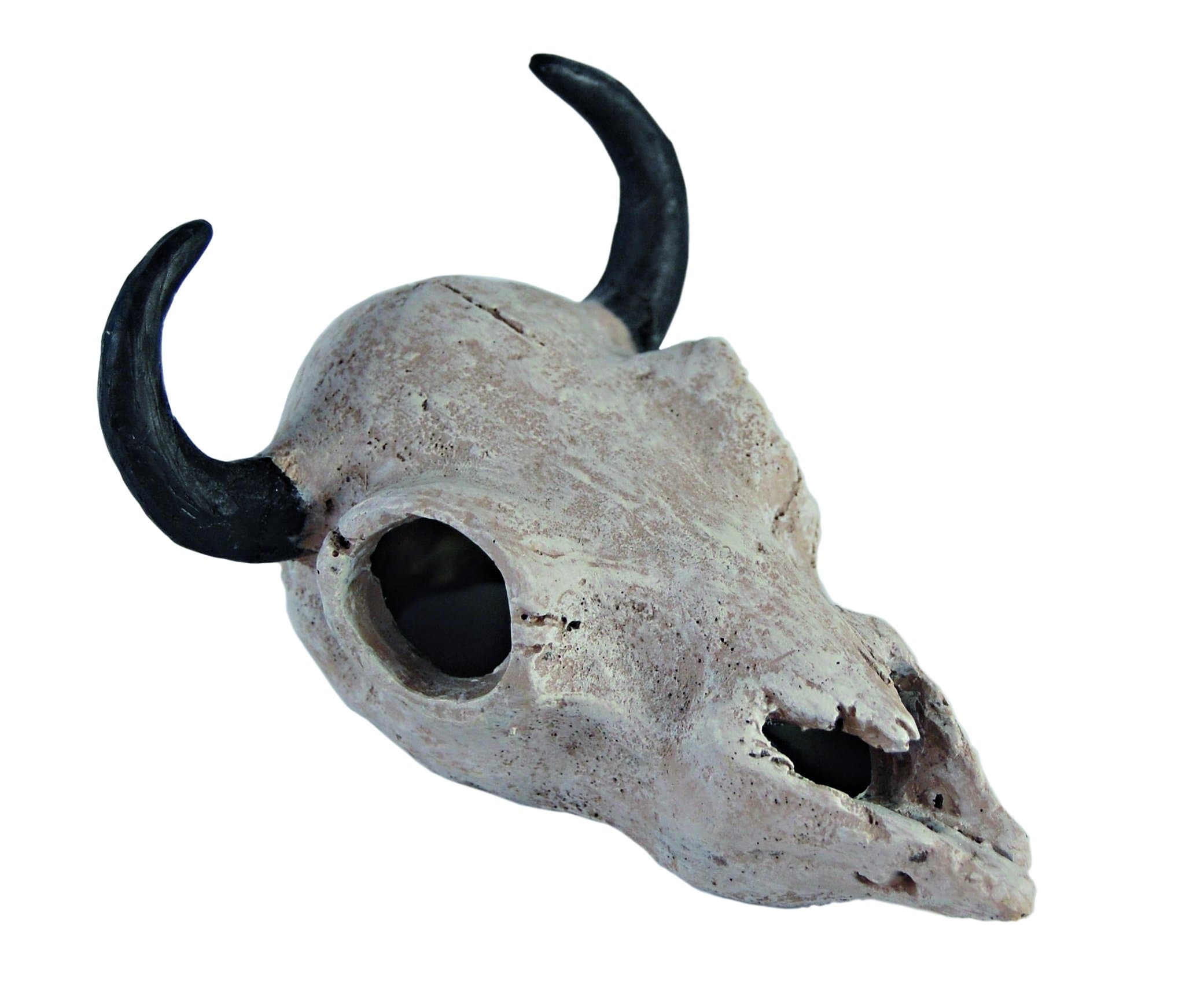 Haquoss Buffalo Skull Ornament for Aquarium Decor