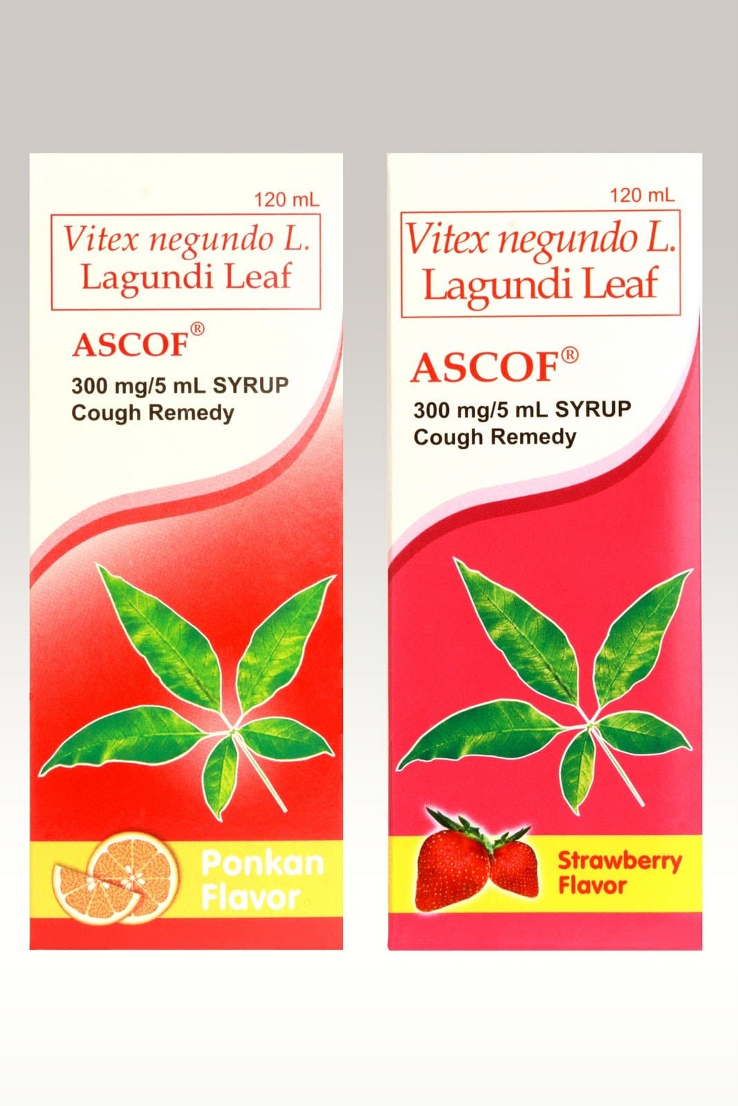 Lagundi Leaf Cough Syrup 120 ML for Kids Strawberry Flavor