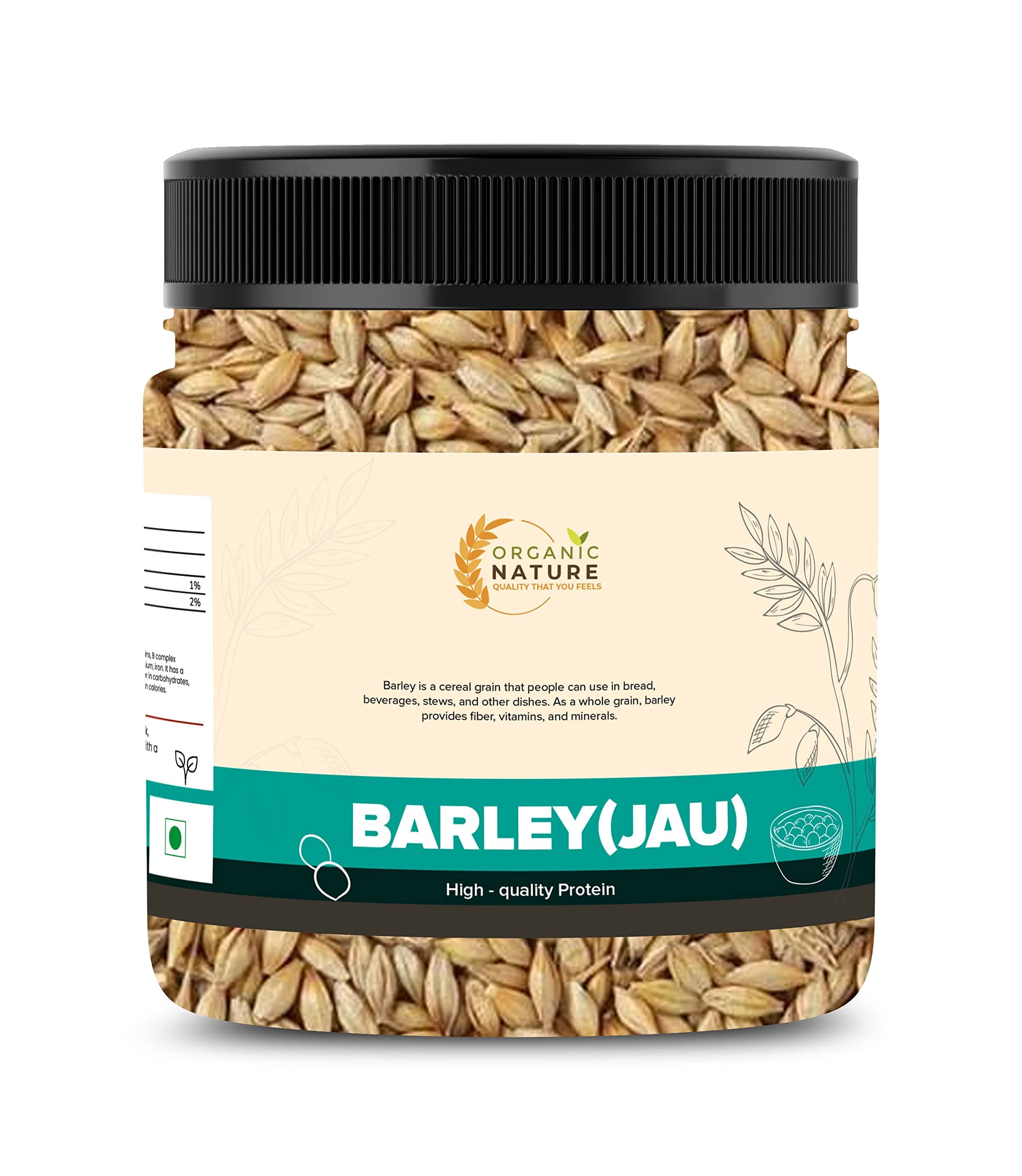 Organic Nature Raw Barley Seeds Jau Barley Grain 250 Grams (Pack of 1 of 250 Grams) Jar Pack