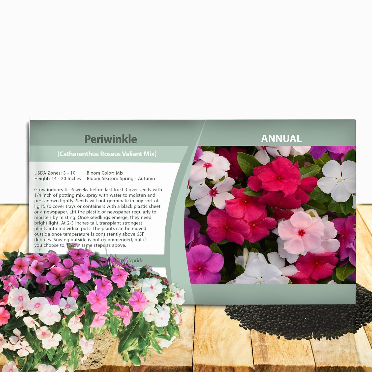 Vinca Periwinkle Valiant Flower Mix Seeds