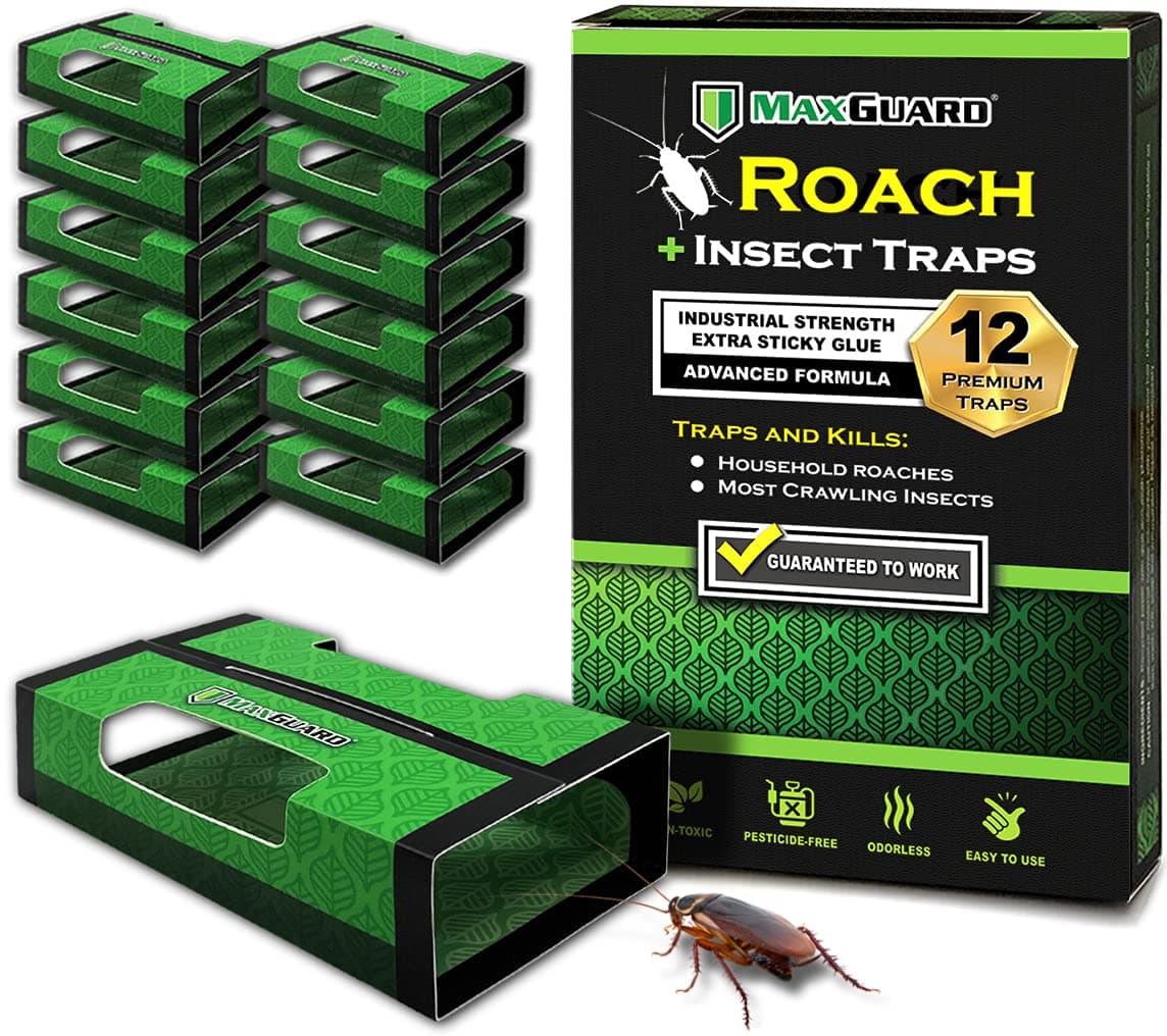 MaxGuard Roach + Spider Traps (12 Per Box) Non-Toxic Extra Sticky Box Traps | Kill German Cockroach, American and Oriental Plus Crawling Bugs & Insects House