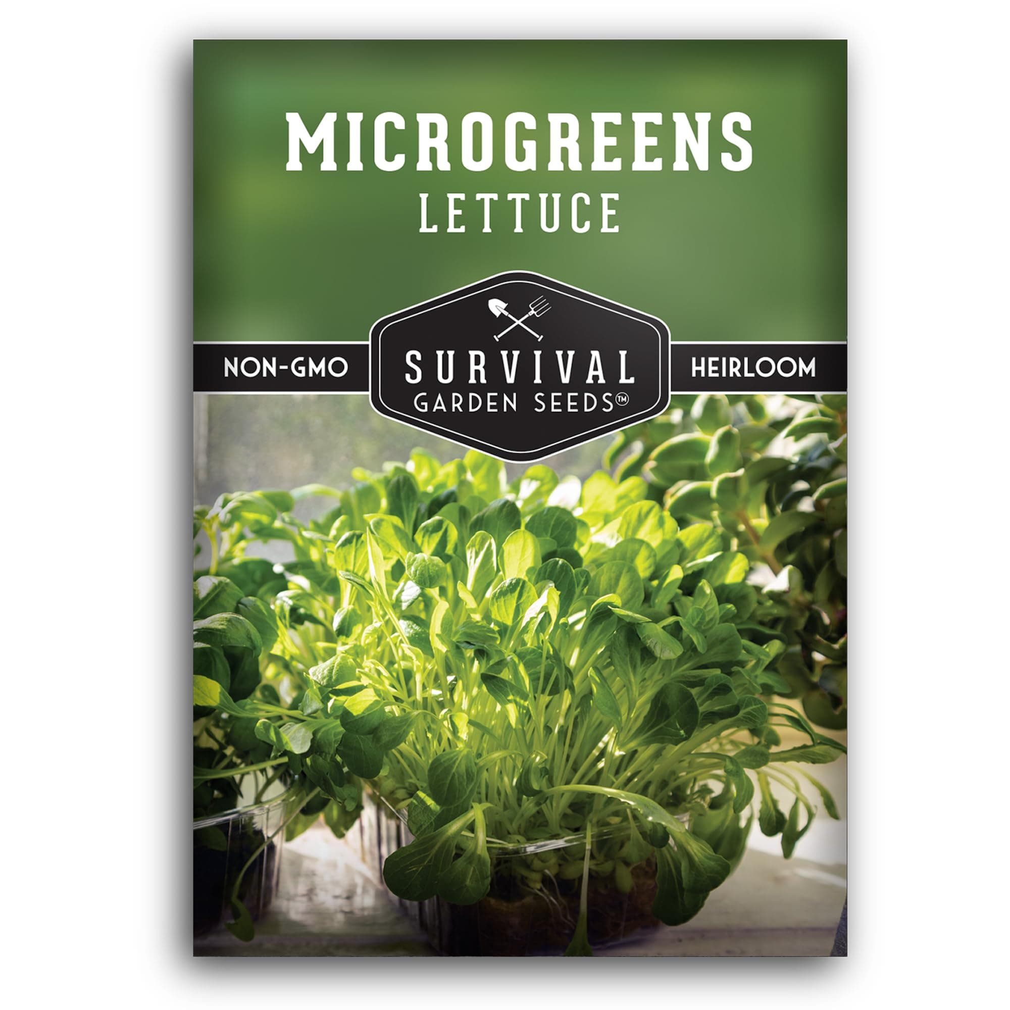 Lettuce Microgreens Seeds for Planting - Non-GMO Heirloom Lettuce Variety to Grow Crisp, Tender Microgreens - Indoors or Hydroponic - Fast Germination, Mild Flavor - Survival Garden Seeds (1 Pack)
