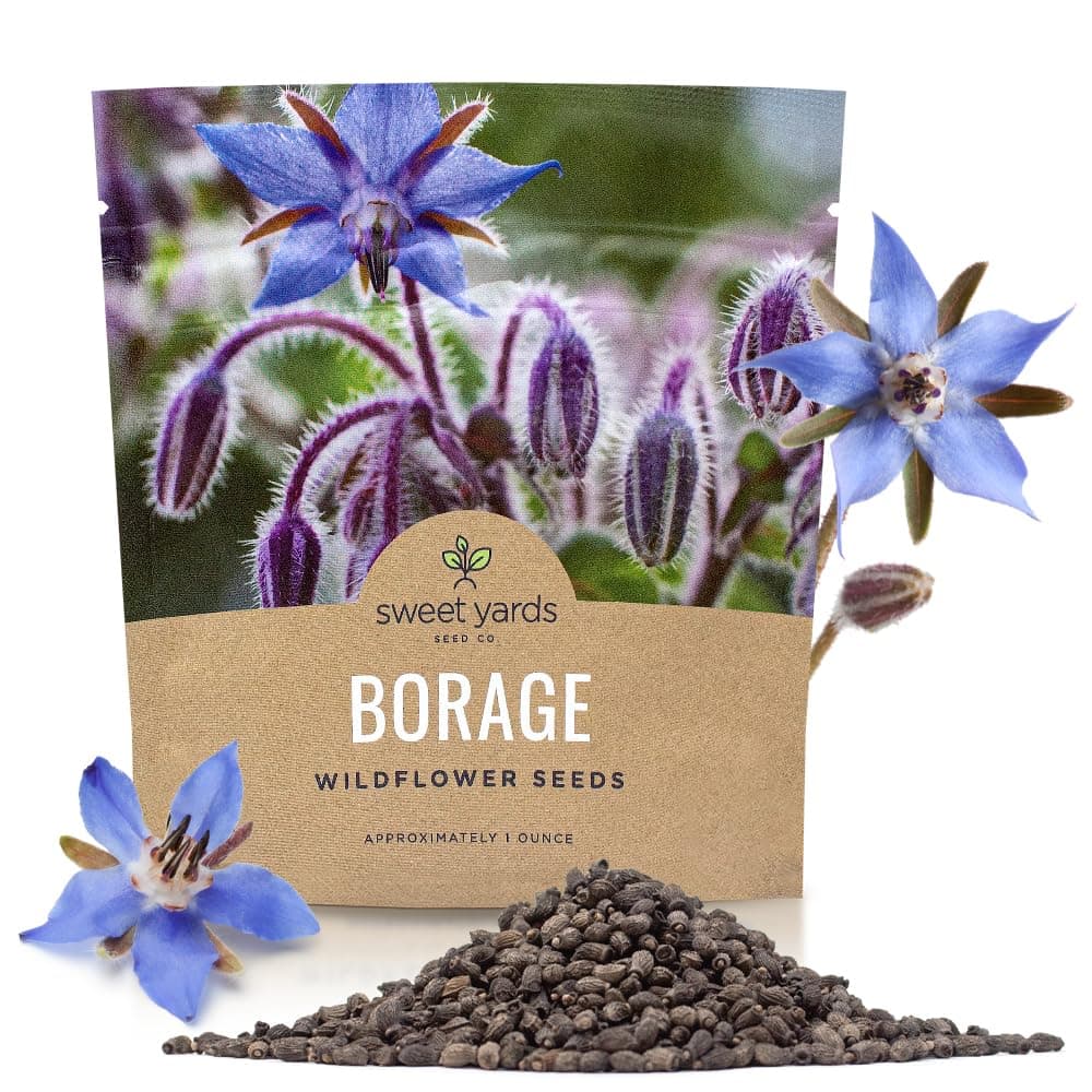 SWEET YARDS Borage Seeds – Extra Large Packet – Over 1,200 Open Pollinated Non-GMO Wildflower Seeds – Borago officianalis