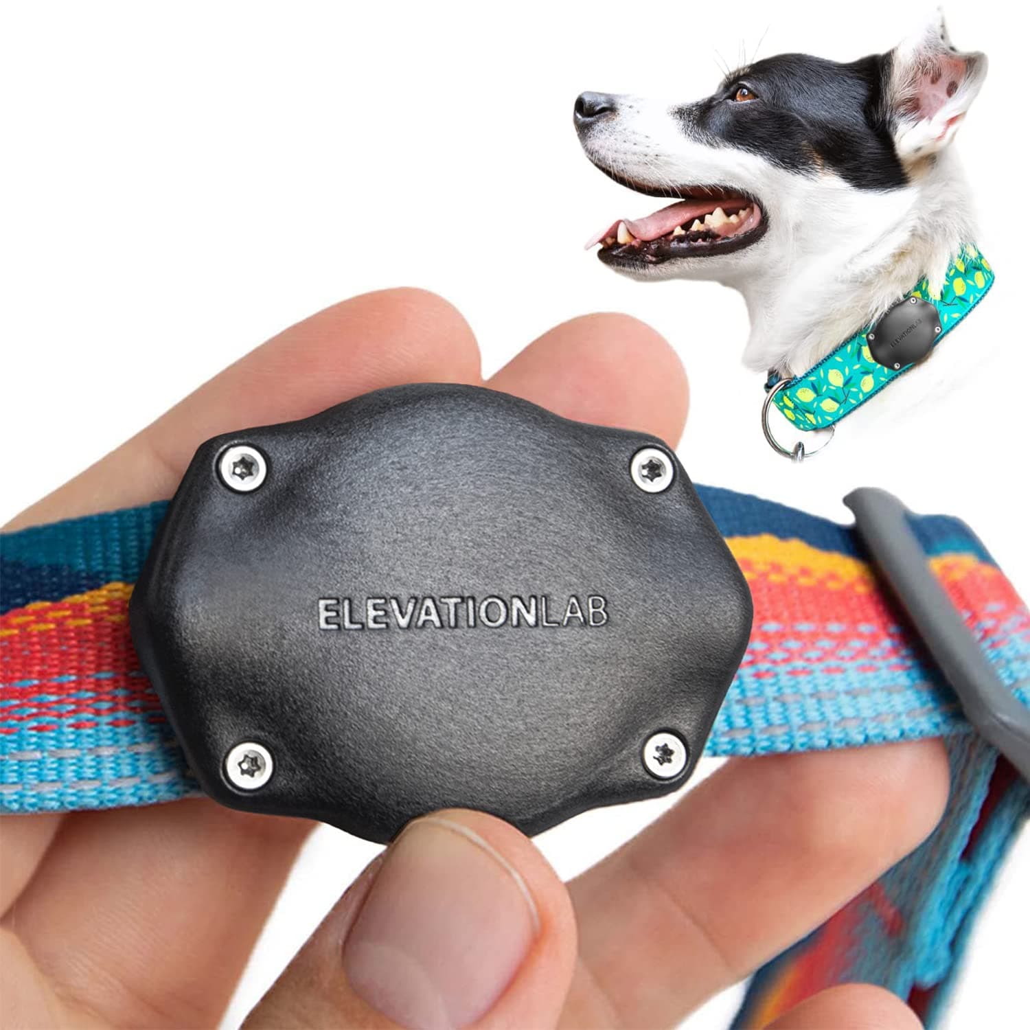 Elevation Lab AirTag Dog Collar Holder - TagVault™ - Secure Thru-Mount, IP69 Waterproof, Doesn't Dangle, Fits All Width Collars