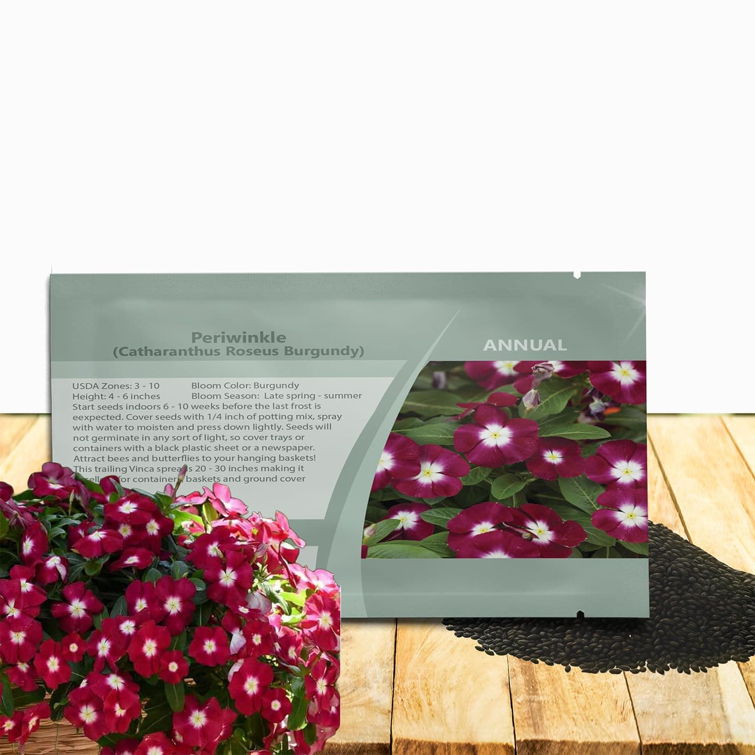 Outsidepride Burgundy Periwinkle Seeds for Planting – 50 Pcs Annual, Fast-Blooming, Heat & Drought Tolerant Vinca Flower Seeds with Vibrant Colors Ideal for Gardens, Beds, Borders & Containers