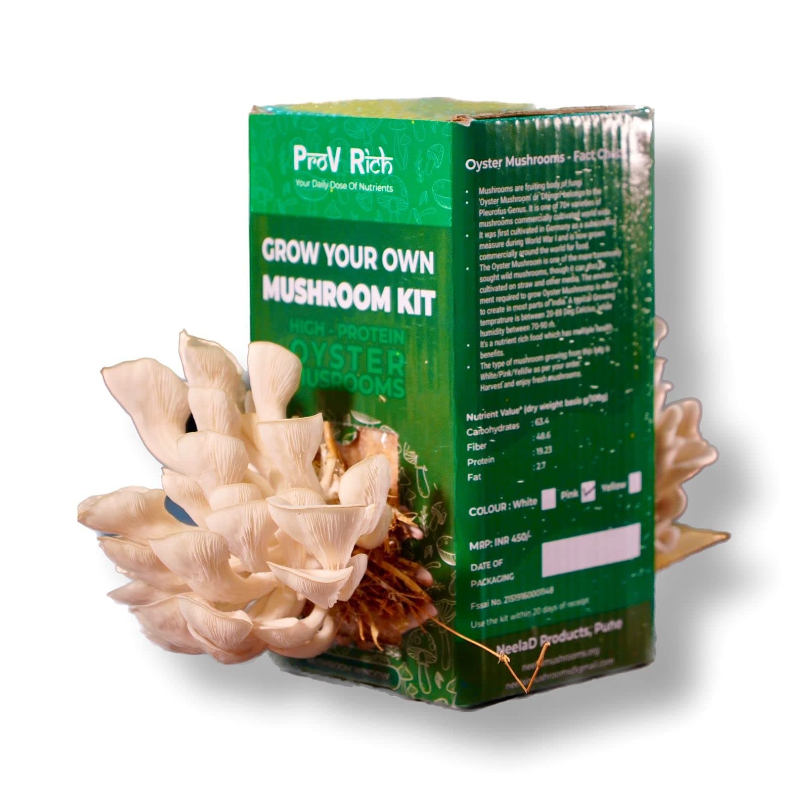 Live Mushroom for Indoor/Home - Mushroom Growing Kit
