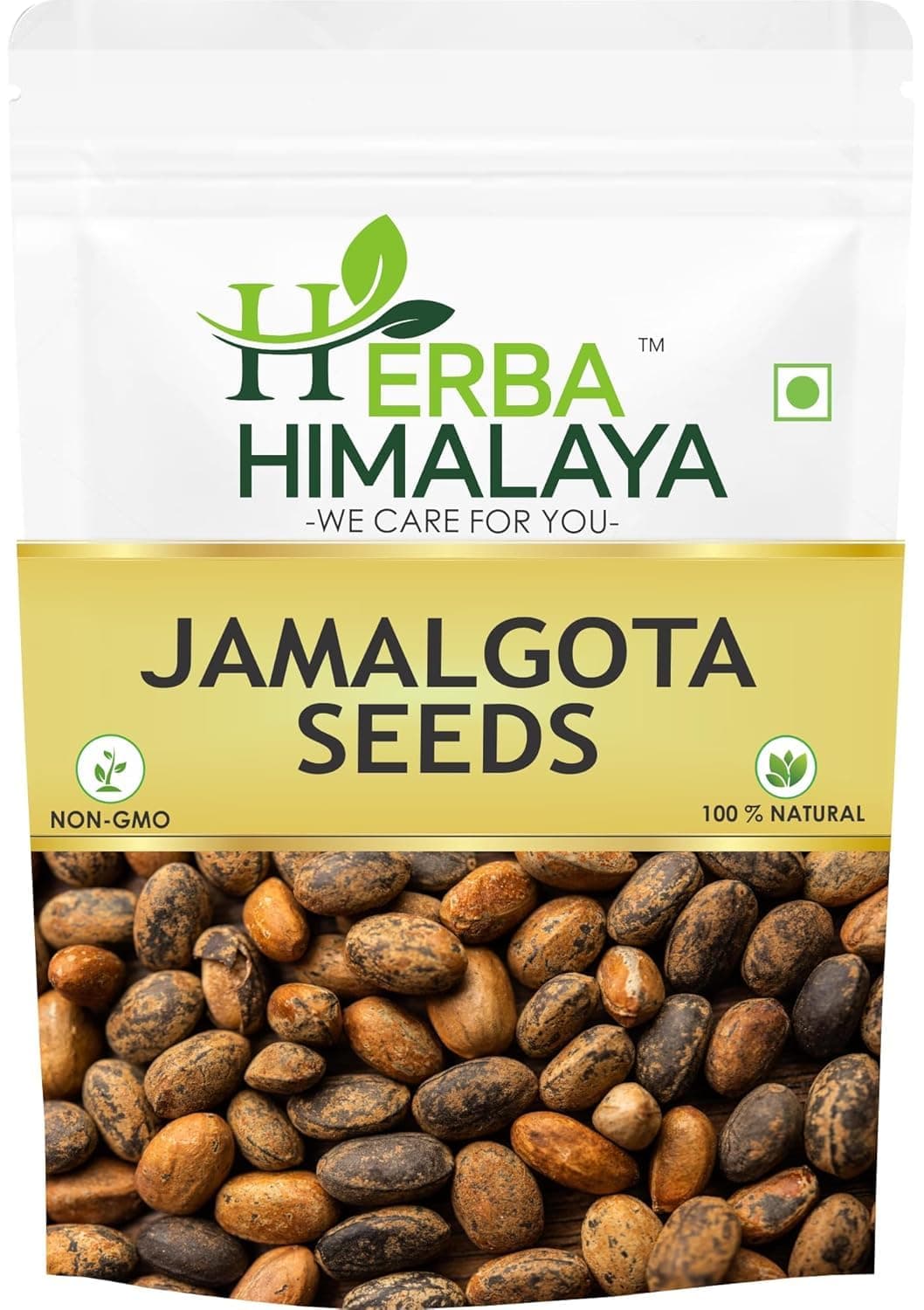 Jamalgota Seeds For Hair - 100gm, Croton Seed | Croton Tiglium Seed | Jamalghota Seed | Jamalgota Beej | Jamalghota Beej | Jamal gota Seeds | Make Paste (100 gm) |