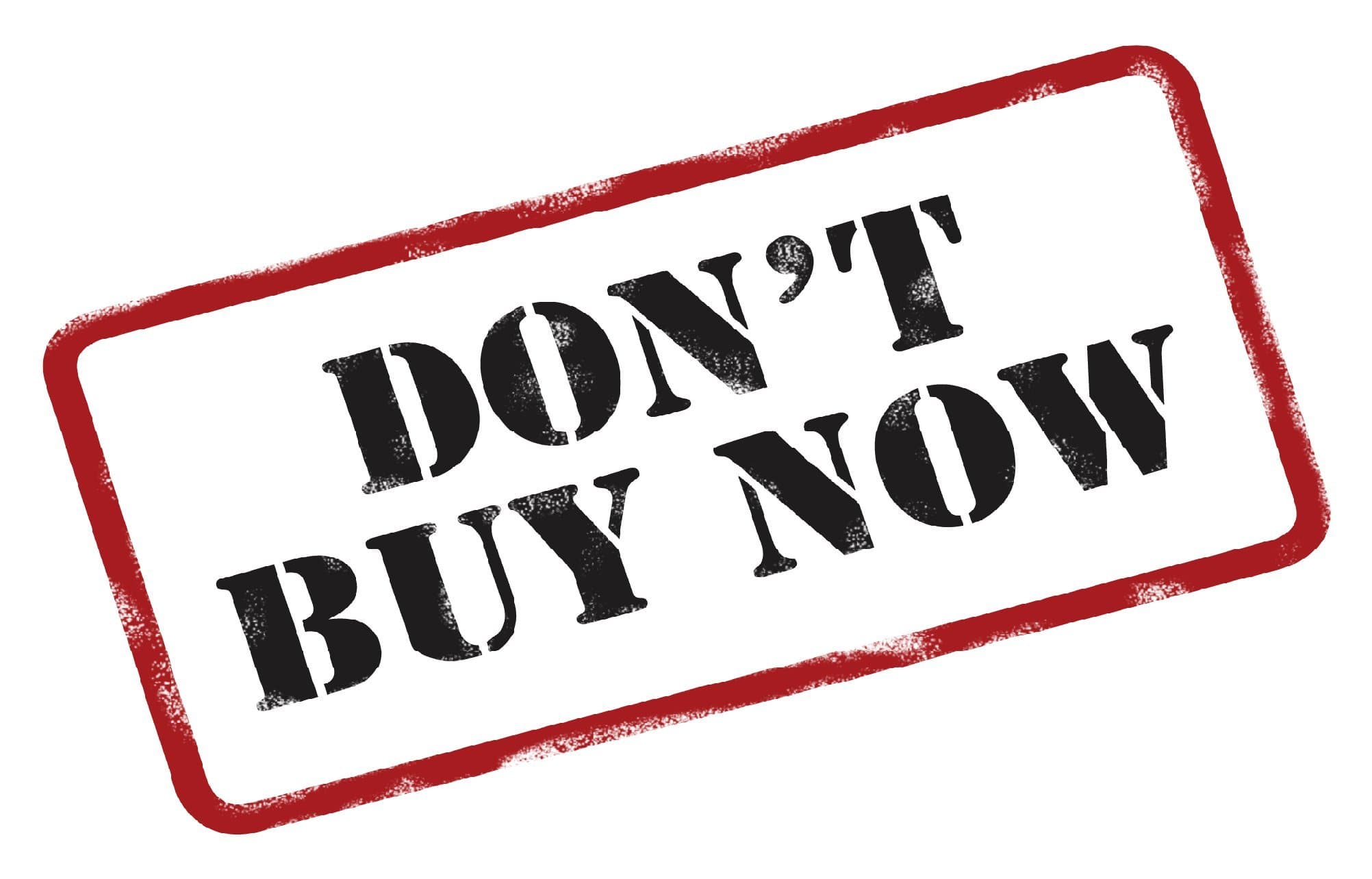 100 Japanese Red Cedar Tree Seeds/Cryptomeria Japonica /"Sugi" Bonsai Evergreen