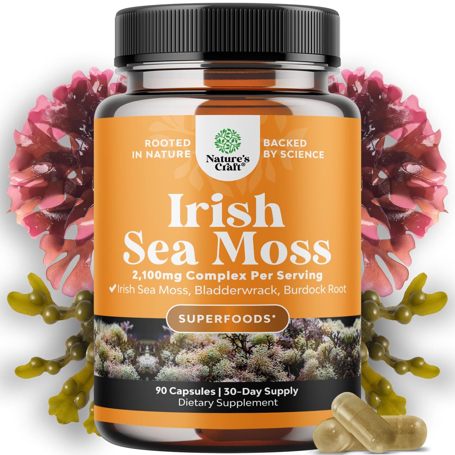 Organic Irish Sea Moss Capsules - Sea Moss and Bladderwrack Capsules with Burdock Root Superfood Blend for Immune Support Heart Health Fertility Joint Health and Thyroid Support for Women and Men