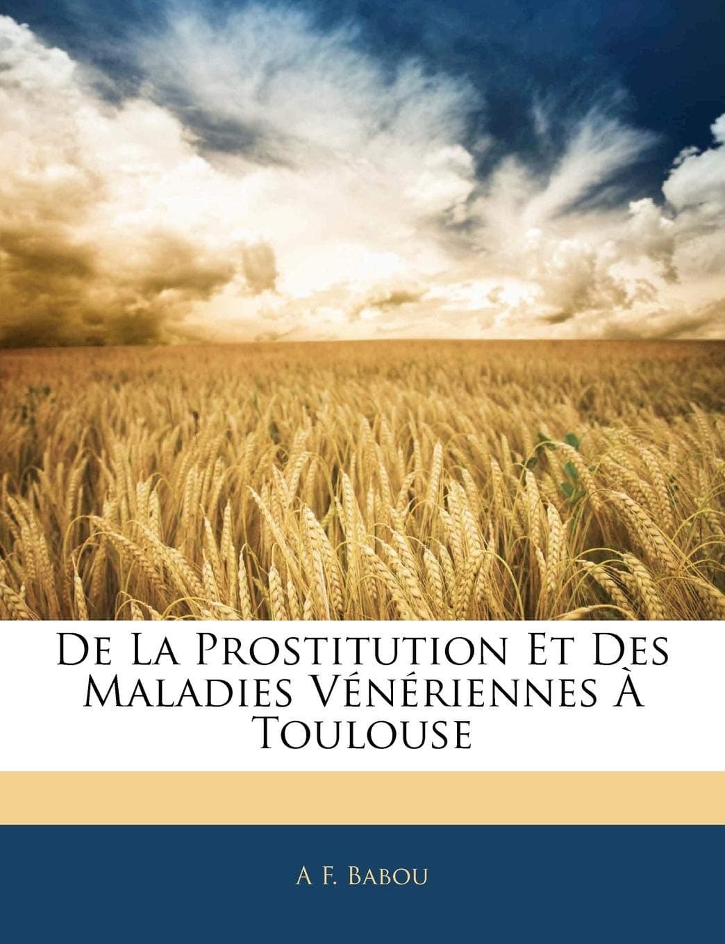 de la Prostitution Et Des Maladies Vénériennes À Toulouse