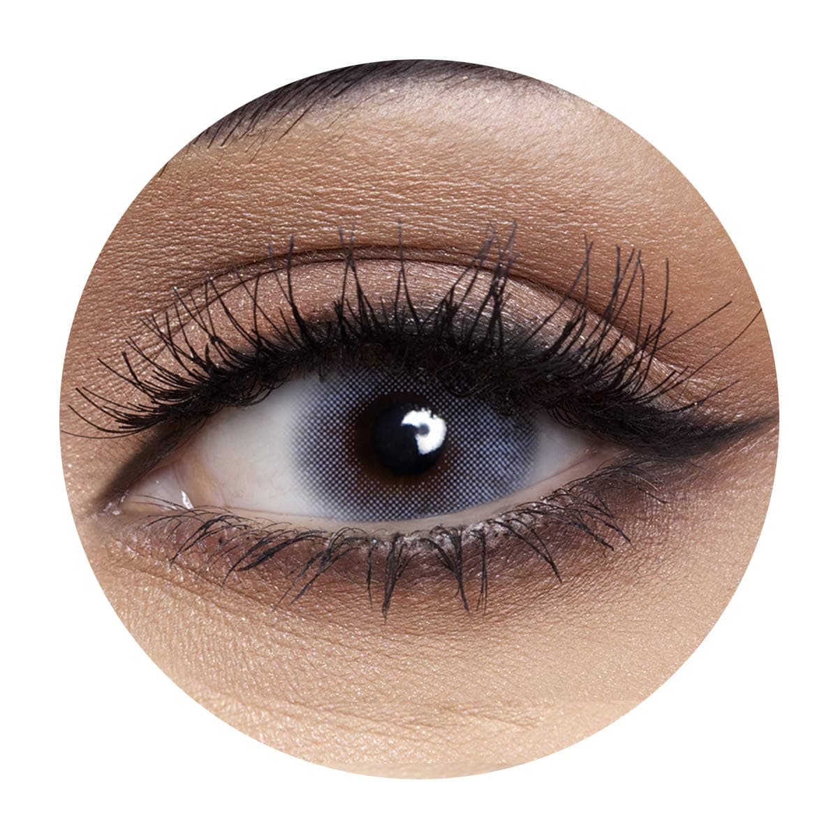 Anesthesia USA Miami Sapphire Contact Lenses, Anesthesia Cosmetic Contact Lenses, 6 Months Disposable - USA Miami Sapphire (Dark Blue Color).