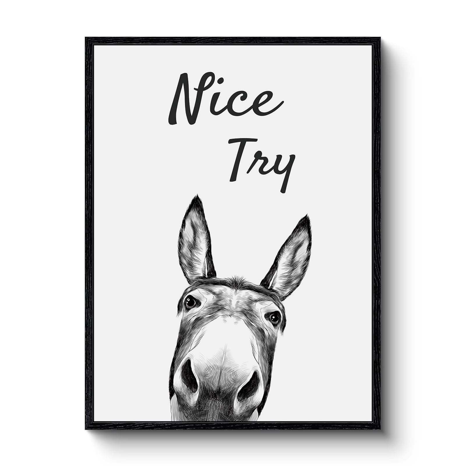 VIYYIEA Framed Canvas Wall Art, Vintage Wall Art for Living Room, Funny Oil Painting Picture Summer Home Decor Bathroom Wall Decor Momthers Day Gifts -【Nice Try】-(12x16 Black)