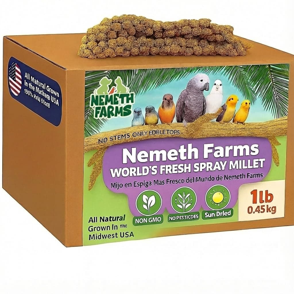 Nemeth Farms Worlds Freshest Sun-Dried Spray Millet - Non-GMO (No Stems Only Edible Tops) - Healthy Bird Treat and Supplement for All Pet Birds Parakeets Cockatiels Finches - 1lb