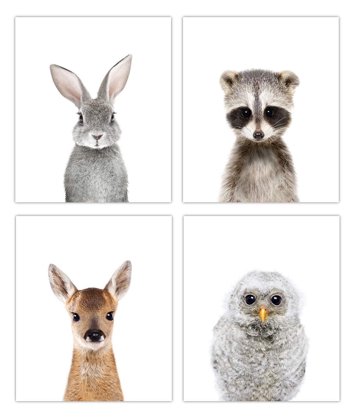 Designs by Maria Inc. Woodland Baby Animals Nursery Decor Art - Set of 4 (Unframed) Wall Prints (8x10) (Option 2)