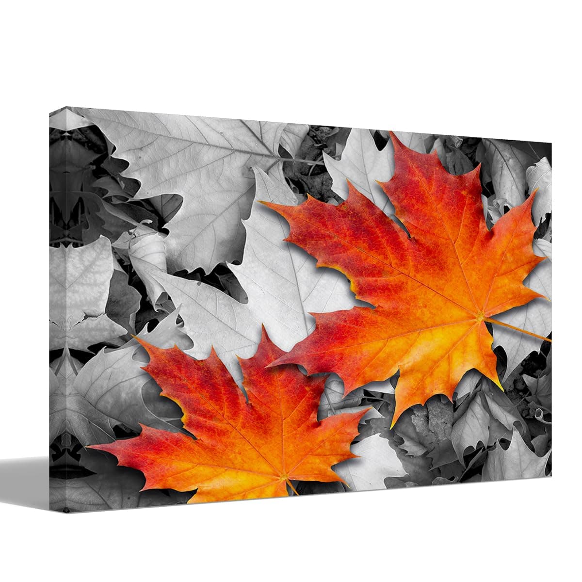 Fall Decor, Orange Maple Leaf Amongst Black and White Autumn Leaves Canvas Wall Art Prints Decor for Living Room Bedroom Home, Autumn Themed Paintings Art Decor 14x11 Inches, Thanksgiving Gifts
