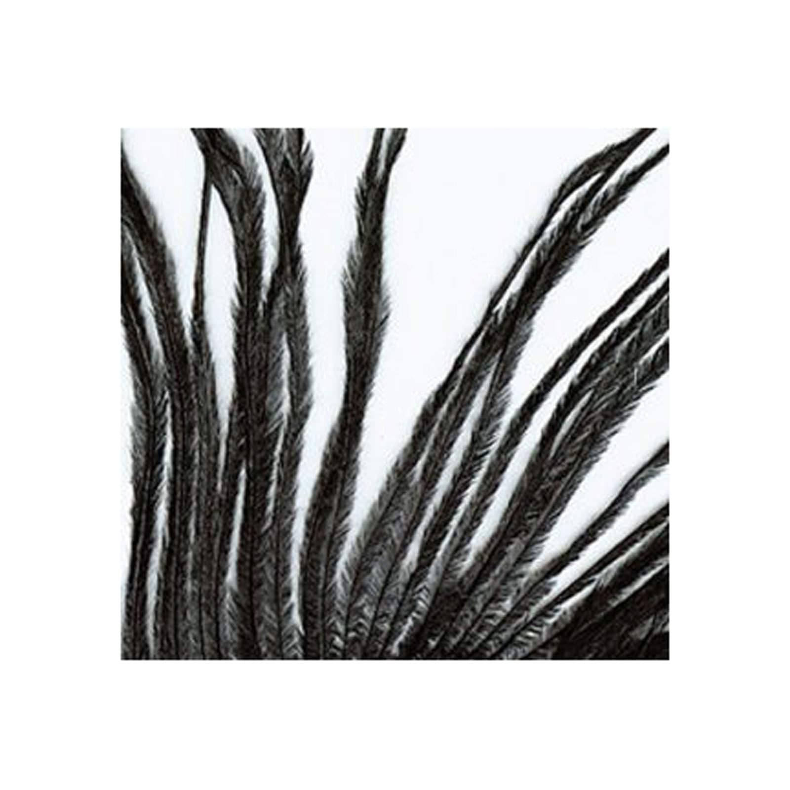 Ostrich Herl by Wapsi