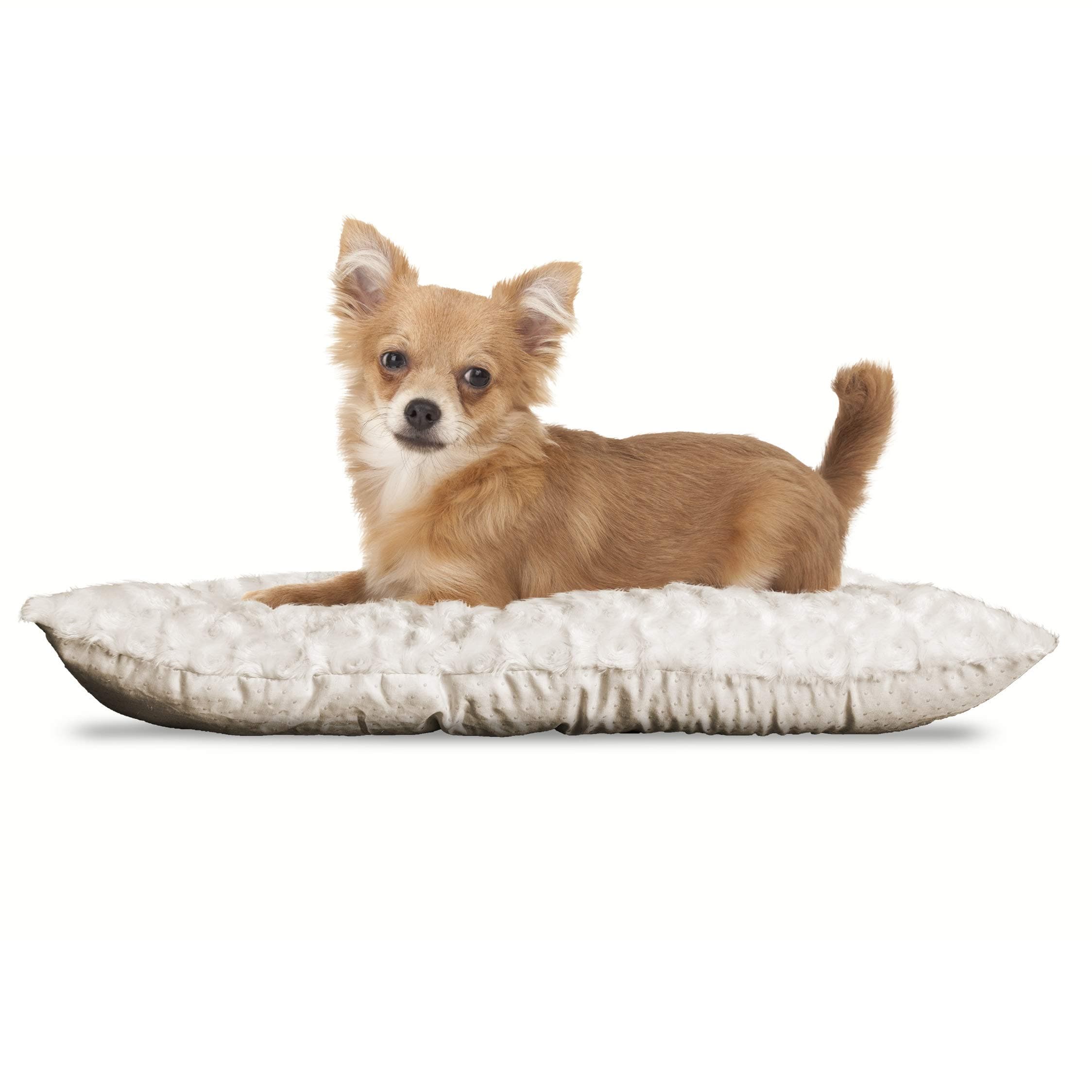 Furhaven Pillow Pet Bed for Dogs and Cats - Ultra Plush Curly Fur Crate or Kennel Dog Bed Mat Cushion, Washable, Latte, Extra Small