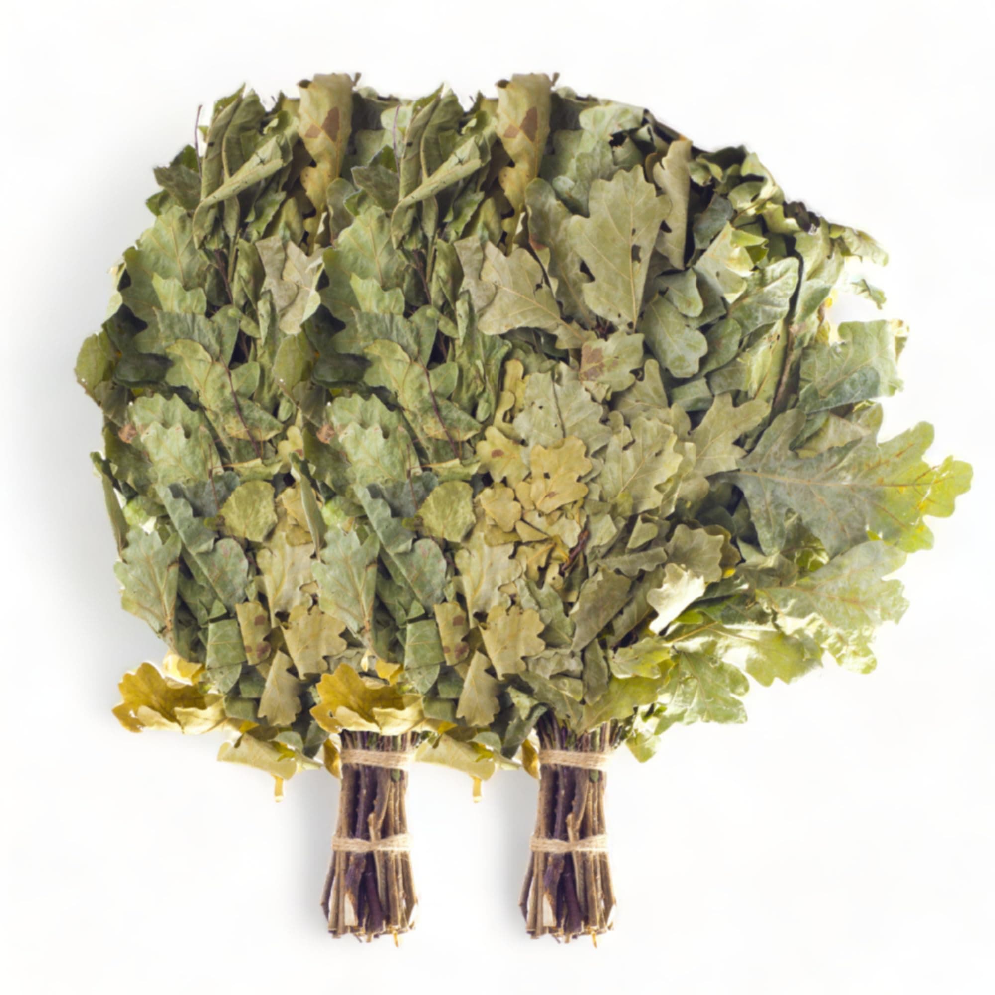 Oak Leaf Sauna Massage Whisk (Venik) Set of 2