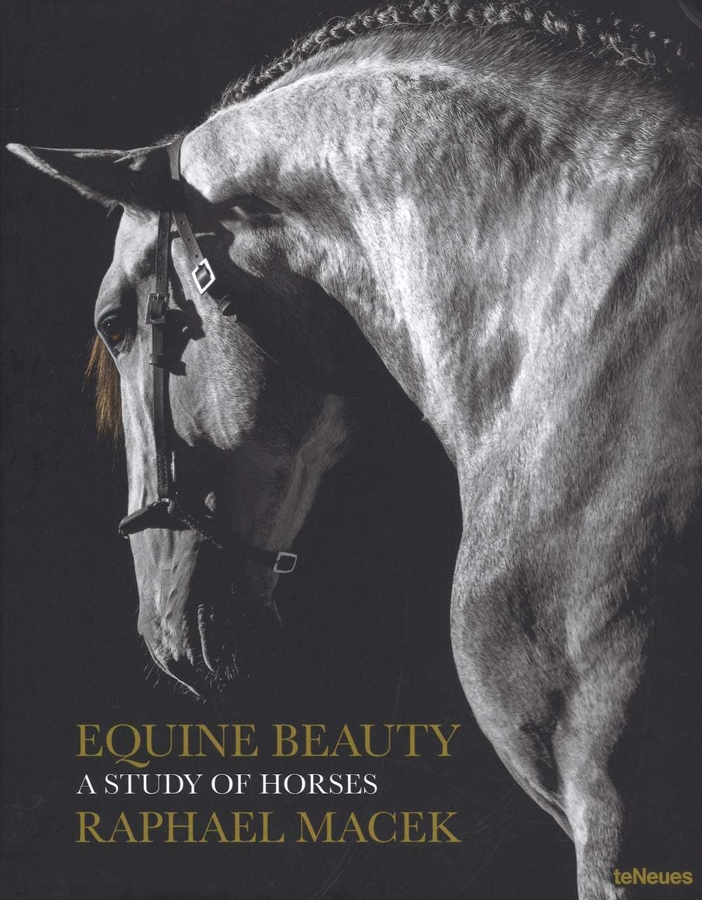 Equine Beauty: A Study of Horses Hardcover – June 15, 2016