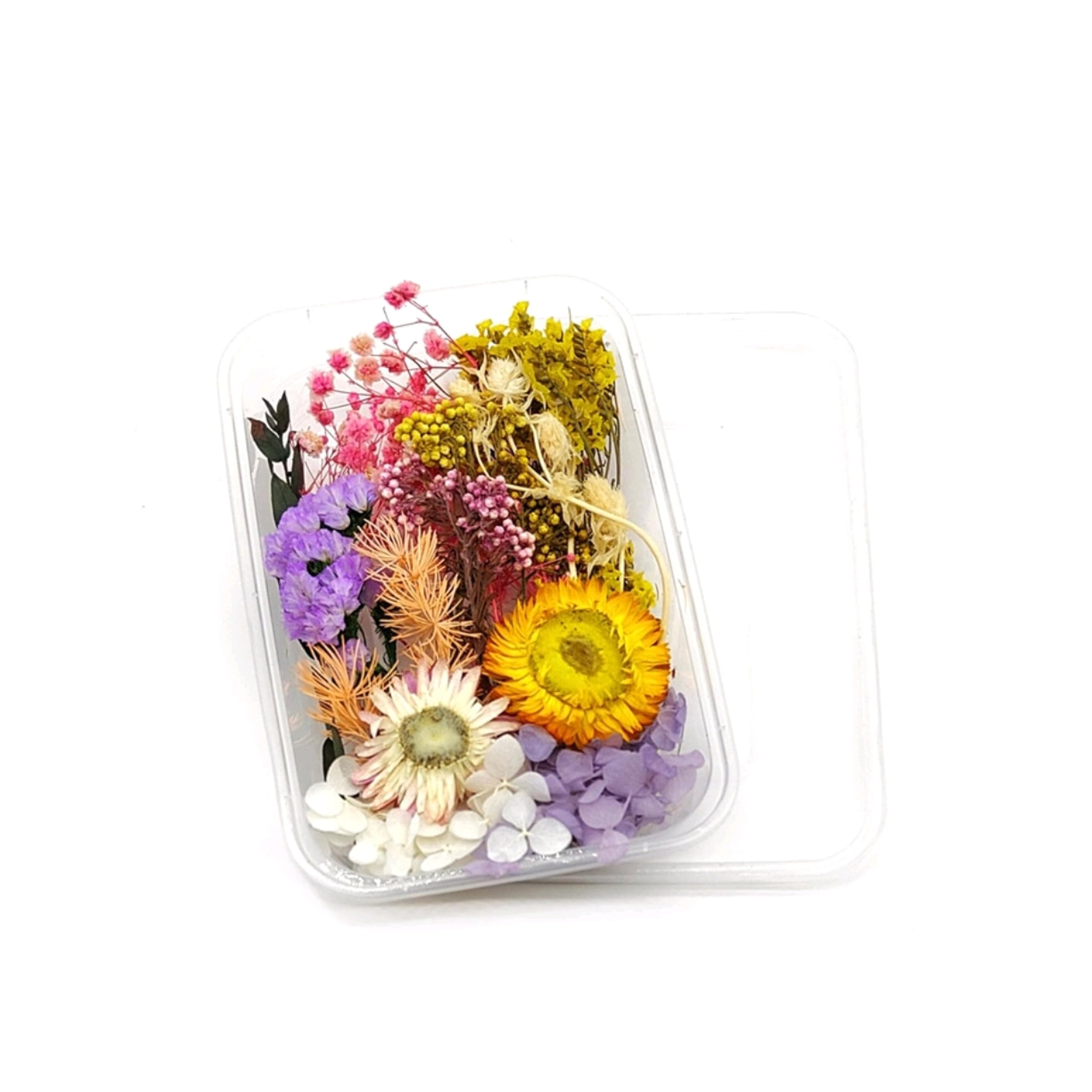 Zarwani 1 Box Natural Real Dried Flowers for Art Craft Mixed Soap, Candle, Scrapbook, DIY, Resin Tray Jewellery, Pendant (Purple White Mix)