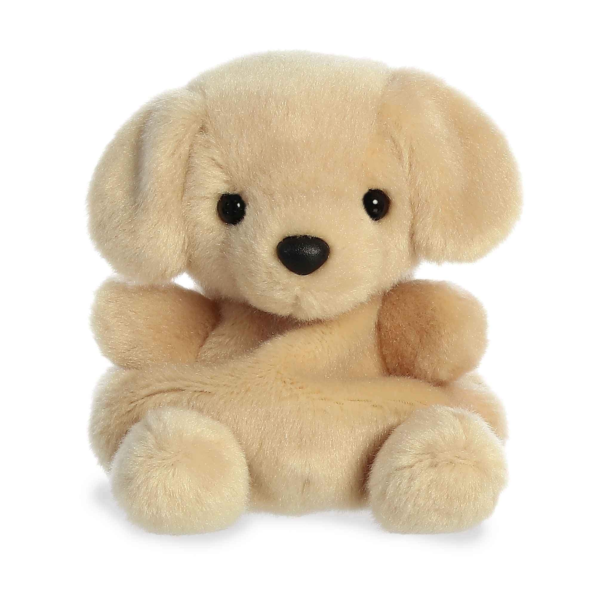 Aurora® Adorable Palm Pals™ Sunny Lab™ Stuffed Animal - Pocket-Sized Play - Collectable Fun - Brown 5 Inches