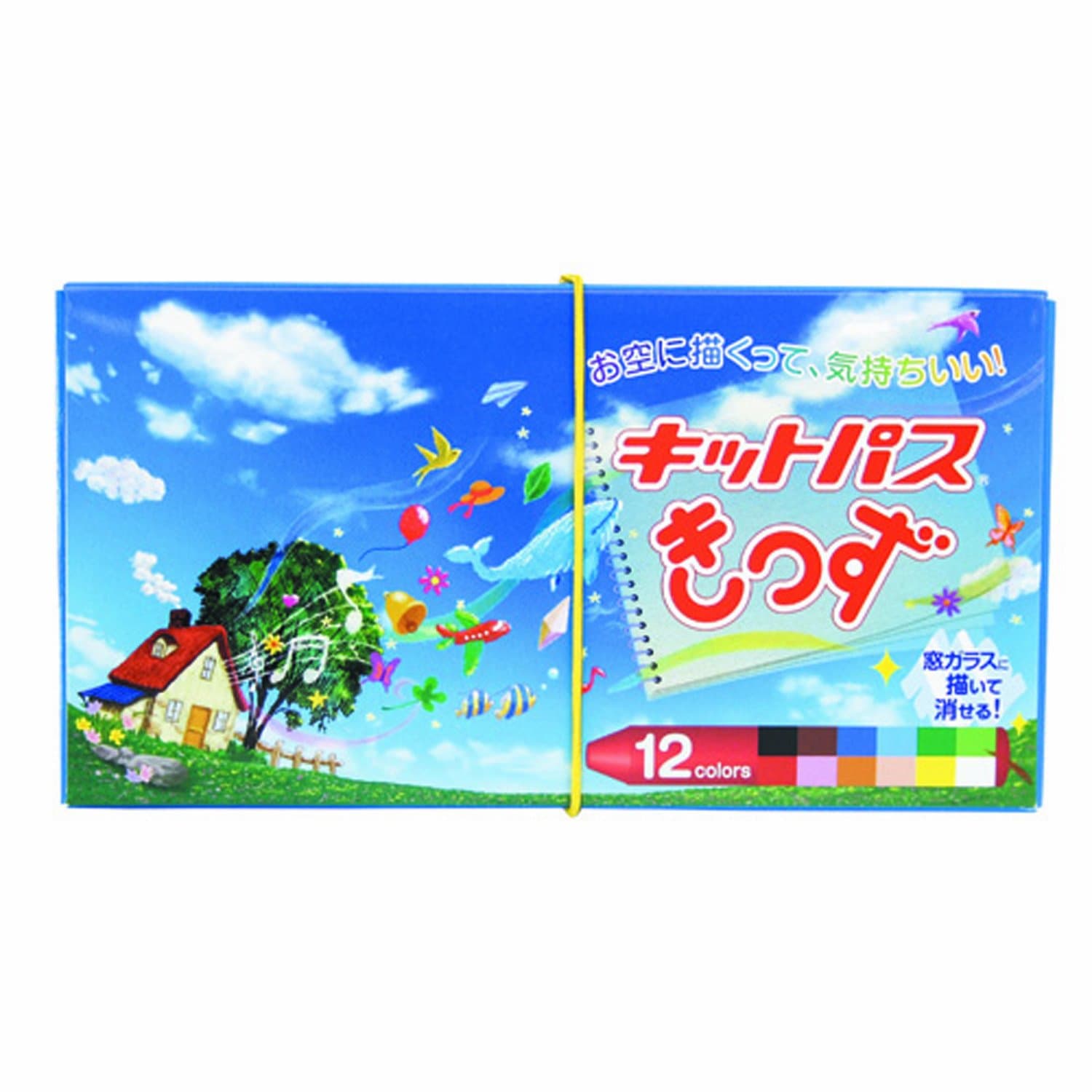 Rikagaku KittoPass Kids Smooth Surface Wet-Erase Magic Crayon - 12 Color Set (japan import)