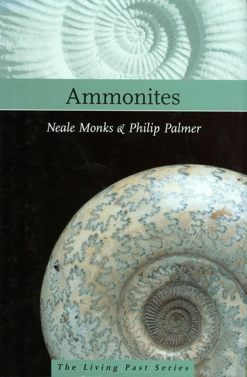 Ammonites Paperback – March 1, 2002