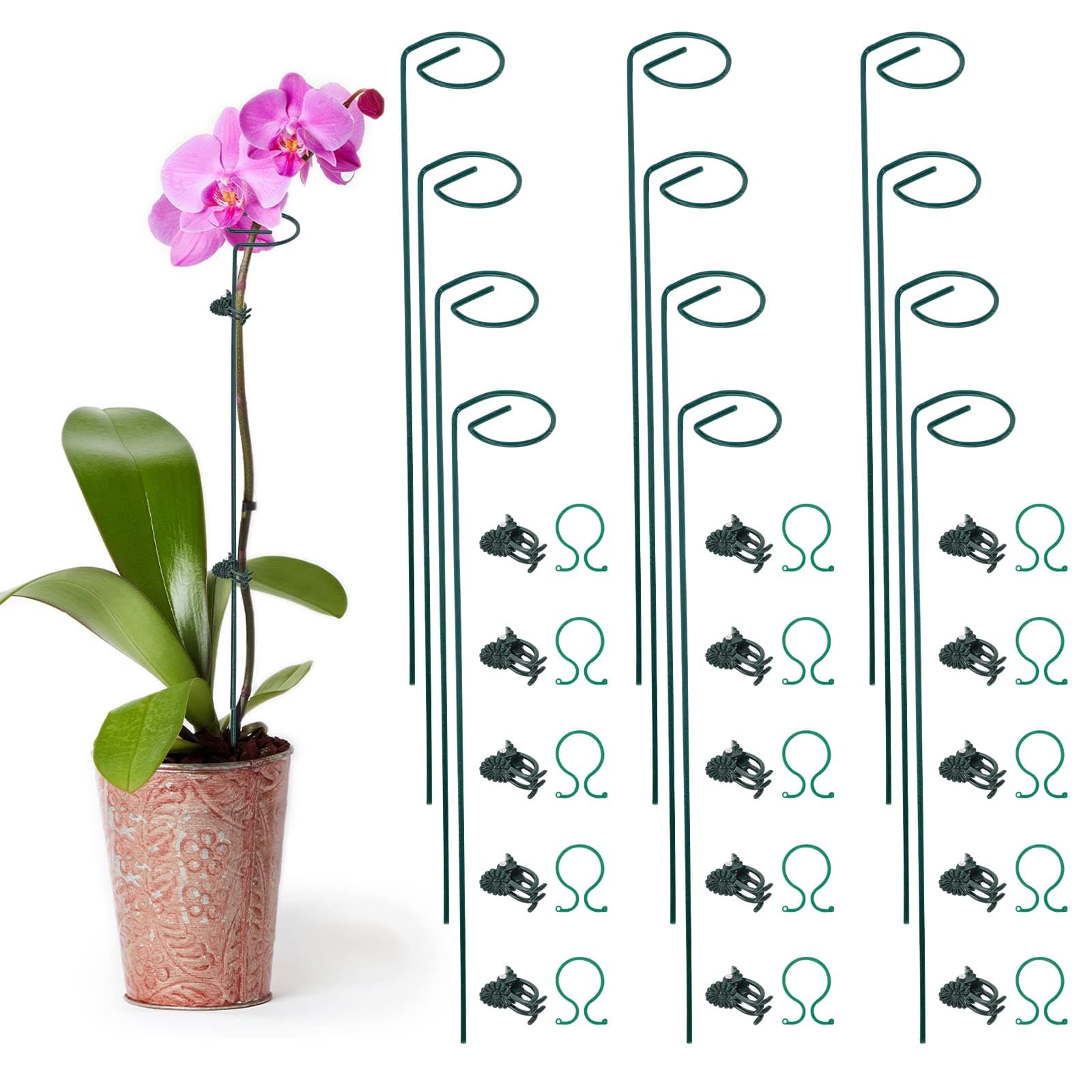 Whonline Plant Support Stakes,12 Packs,17 Inches, Amaryllis Stakes with 30pcs Plant Clips,Single Stem Plant Stake Support Rings for Tomatoes, Flowers Stakes and Supports