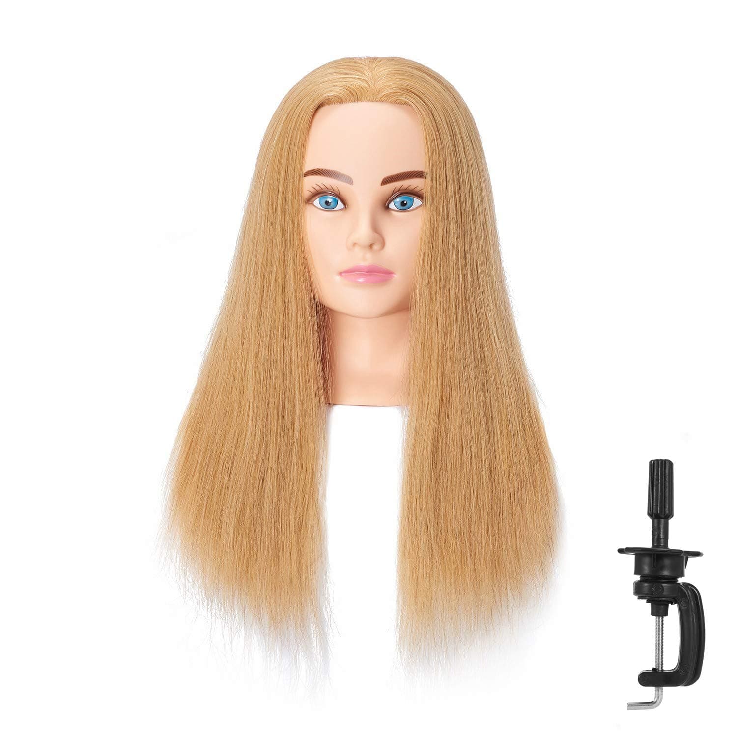 Hairingrid Mannequin Head 24"-26"100% Human Hair Hairdresser Cosmetology Mannequin Manikin Training Head Hair and Free Clamp Holder (R71906W2718H)