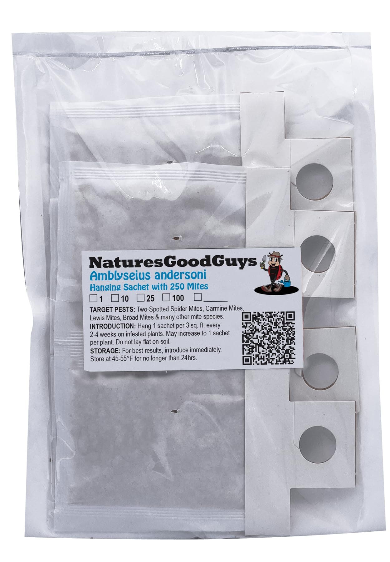 Amblyseius andersoni 10 Sachets with 250 Mites